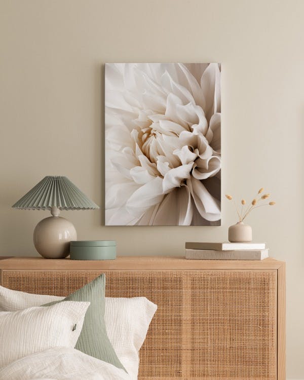 Canvas Prints - White Dahlia Canvas print (50x70 cm) - Poster Store