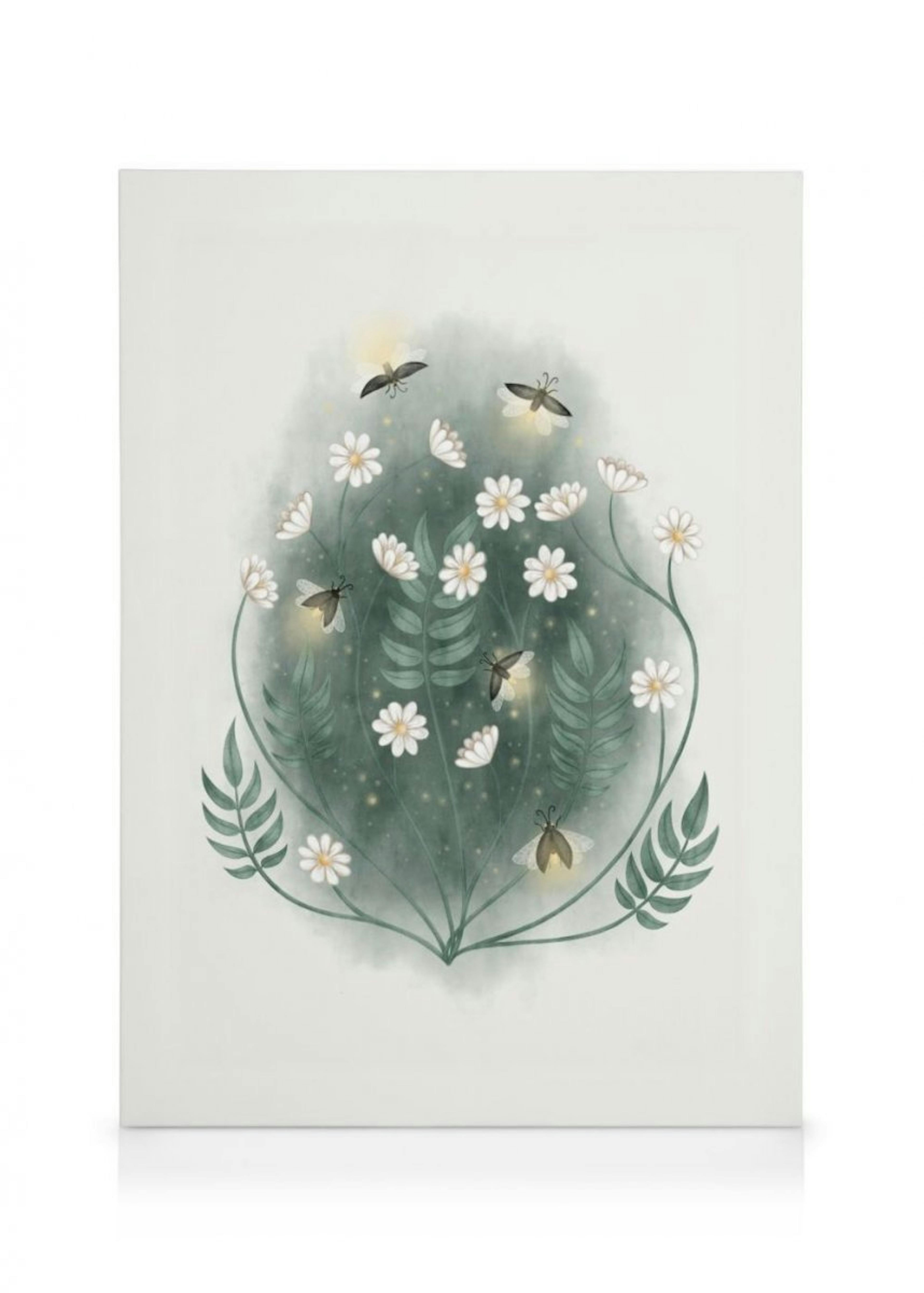 Firefly Flower Canvas Print 0