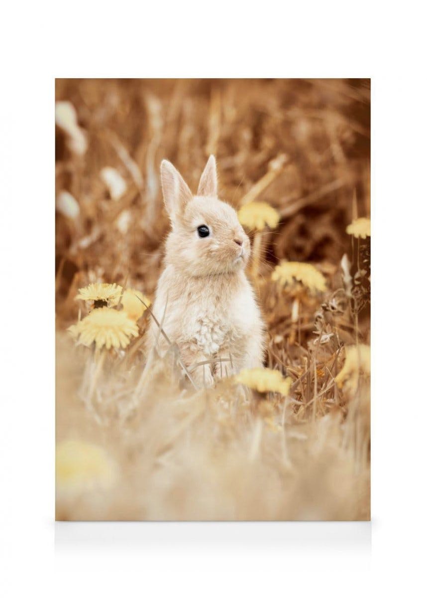 Curious Rabbit Canvas Print (70x100 cm - Oak Frame) - Poster Store