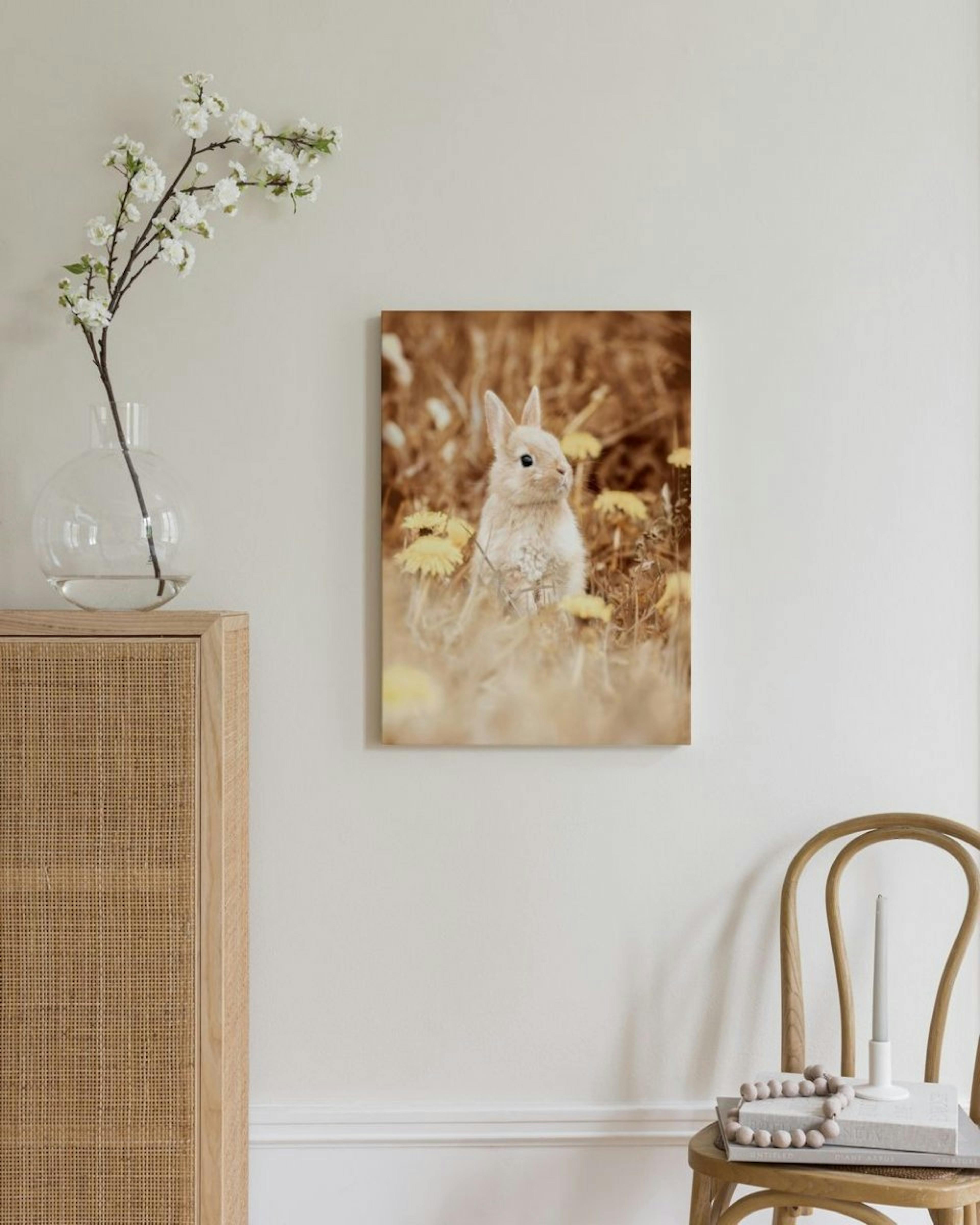 Curious Rabbit Canvas thumbnail