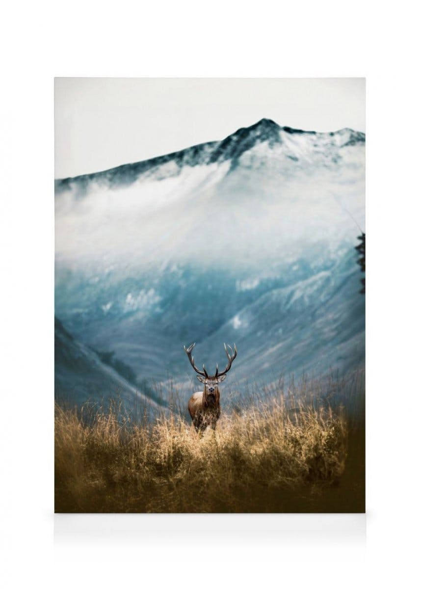 Canvas Prints - Mountain Stag Canvas print (30x40 cm - Black Frame) - Poster Store