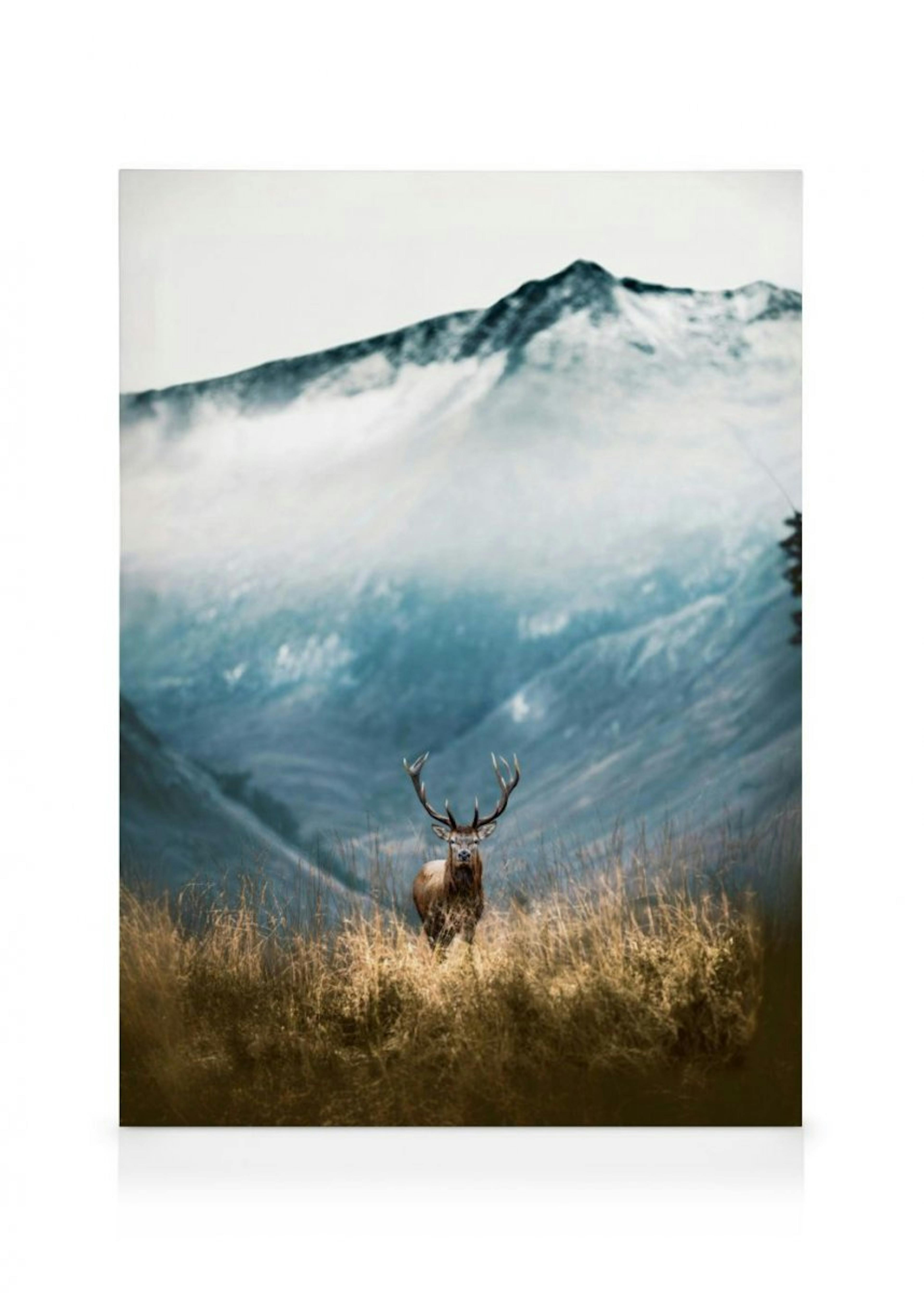 Mountain Stag Canvas 0