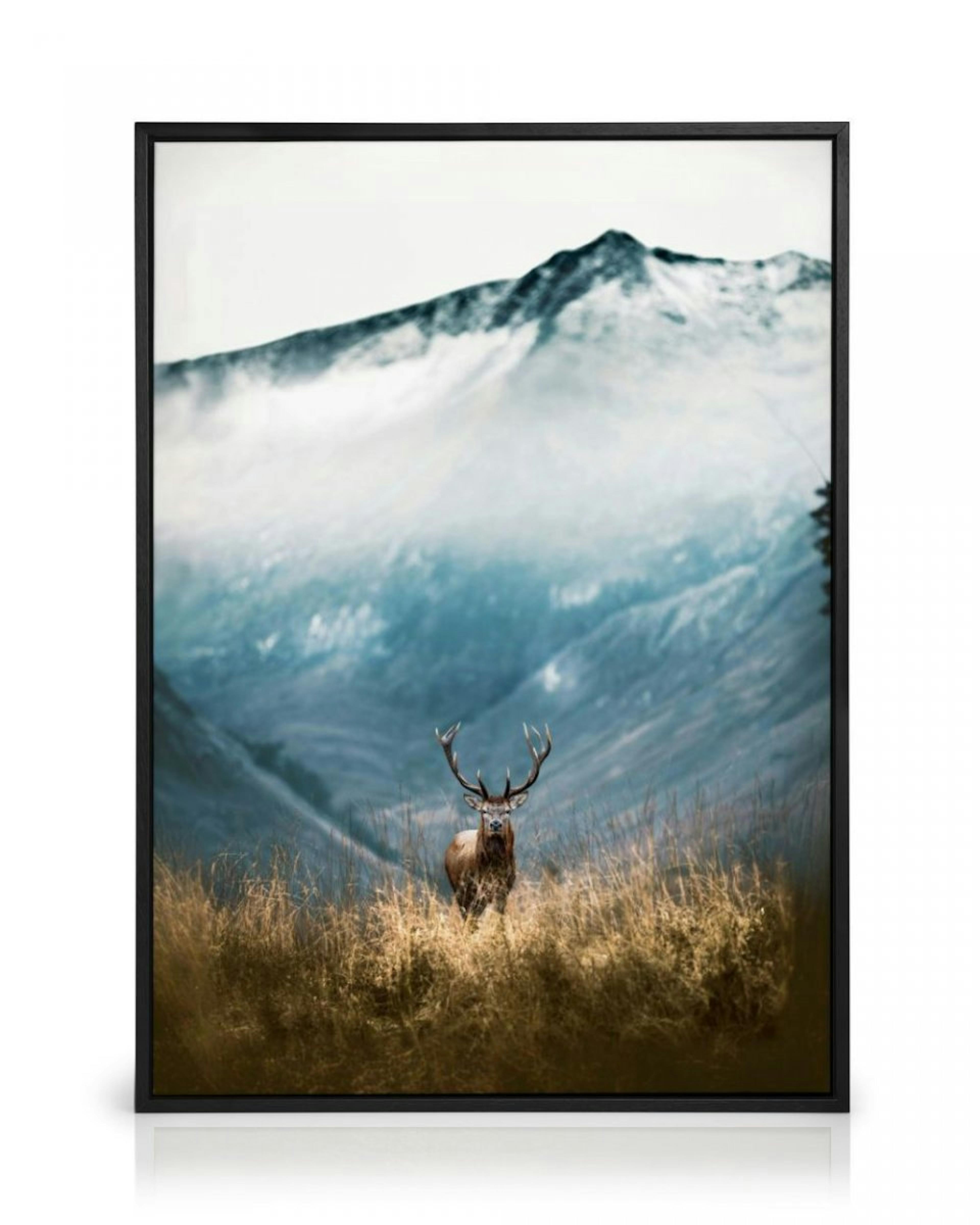 Mountain Stag Canvas thumbnail