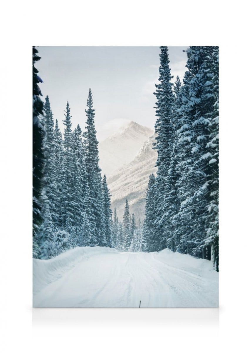 Camino Invernal Lienzo (30x40 cm) - Poster Store