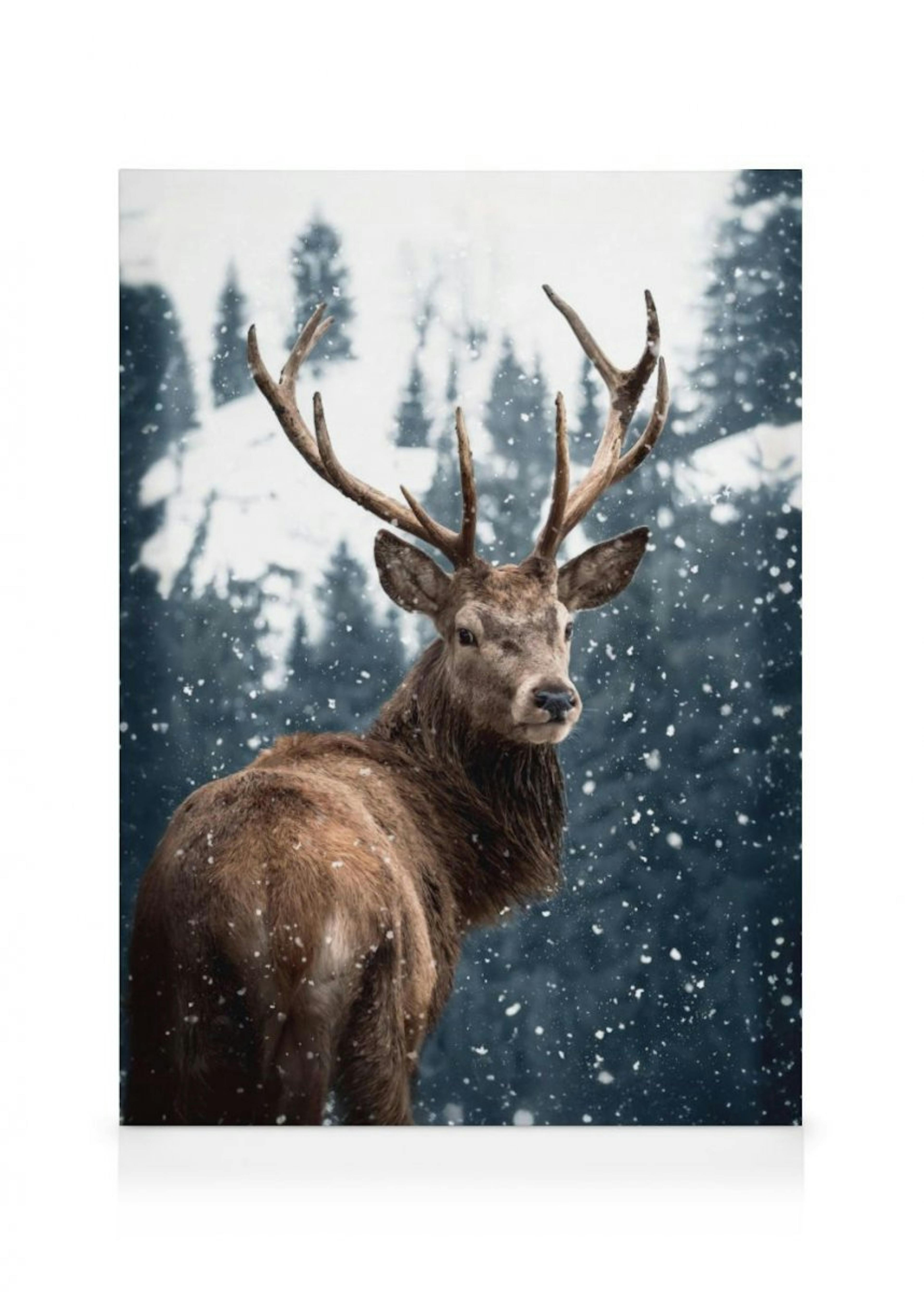 Red Deer in Snow Stampa su Tela thumbnail