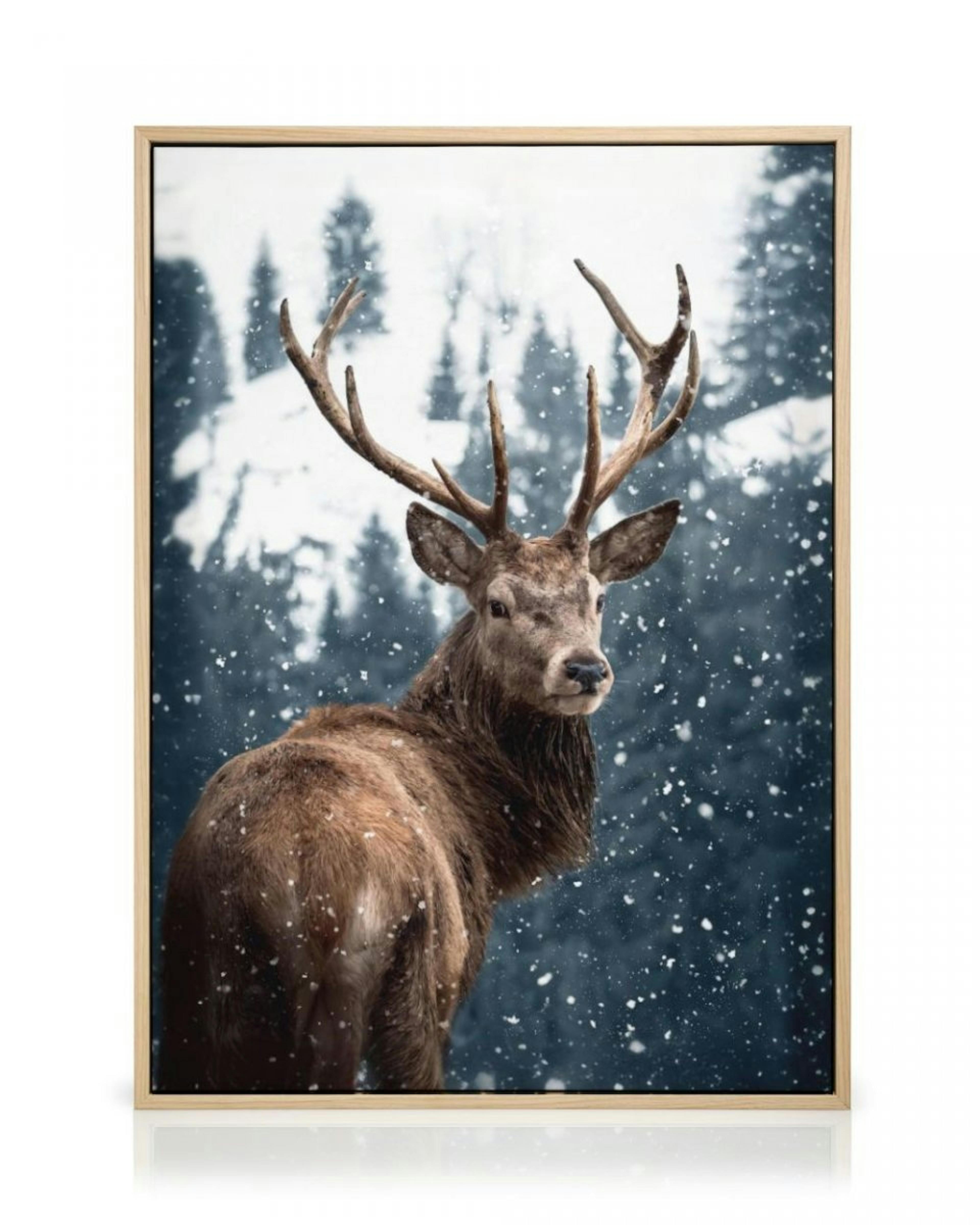 Red Deer in Snow Stampa su Tela thumbnail