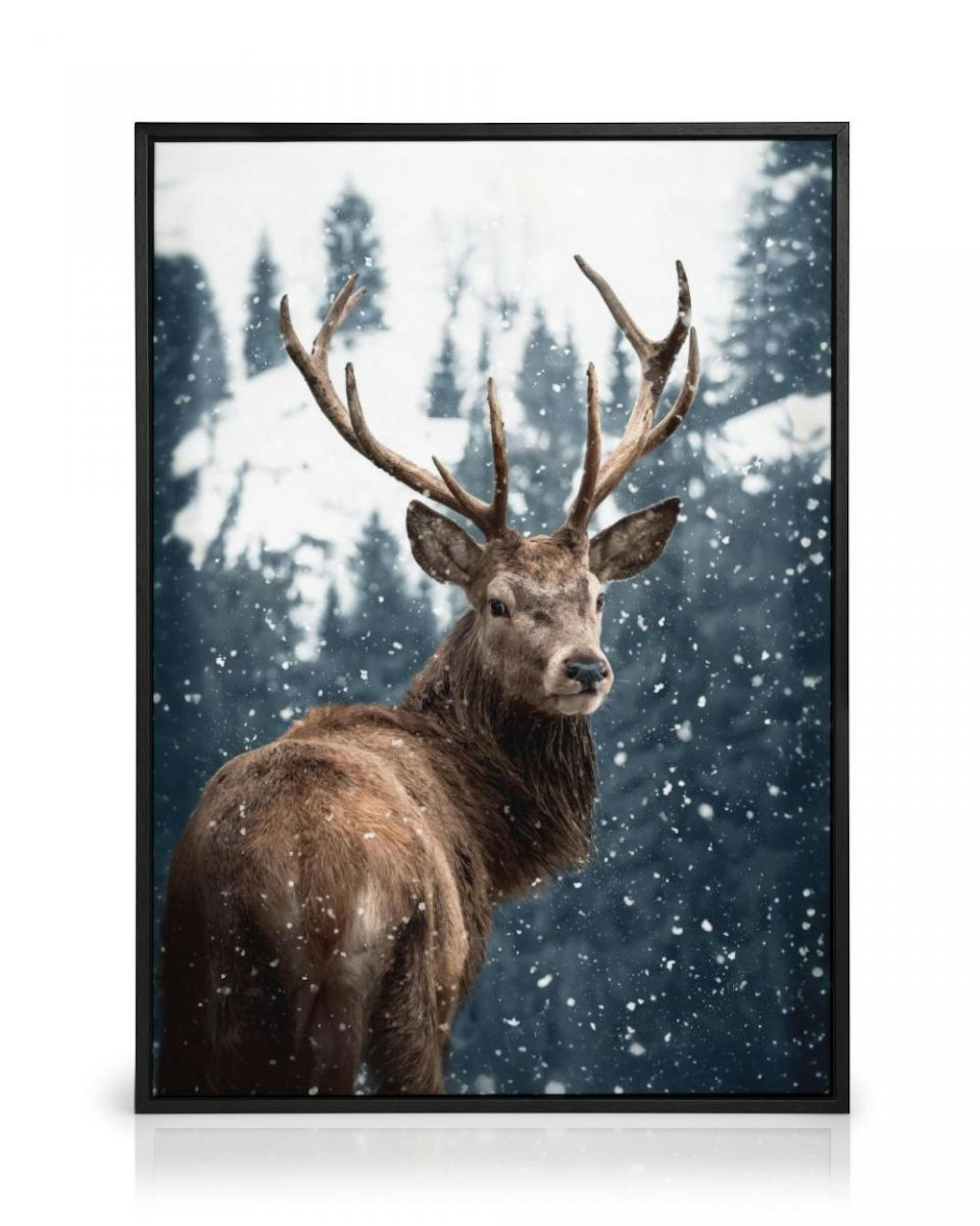Red Deer in Snow Stampa su Tela thumbnail