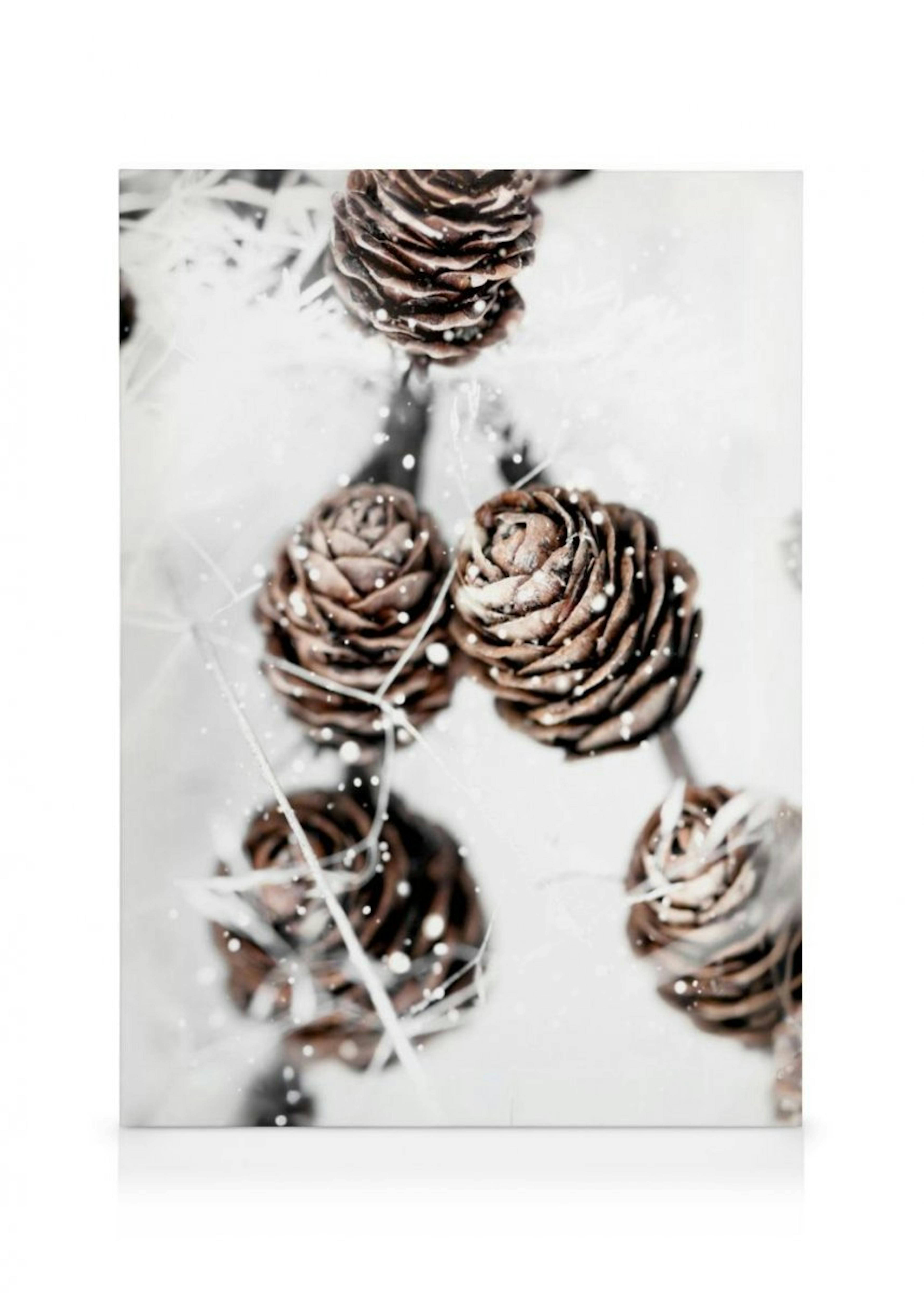 Winter Cones Stampa su Tela thumbnail