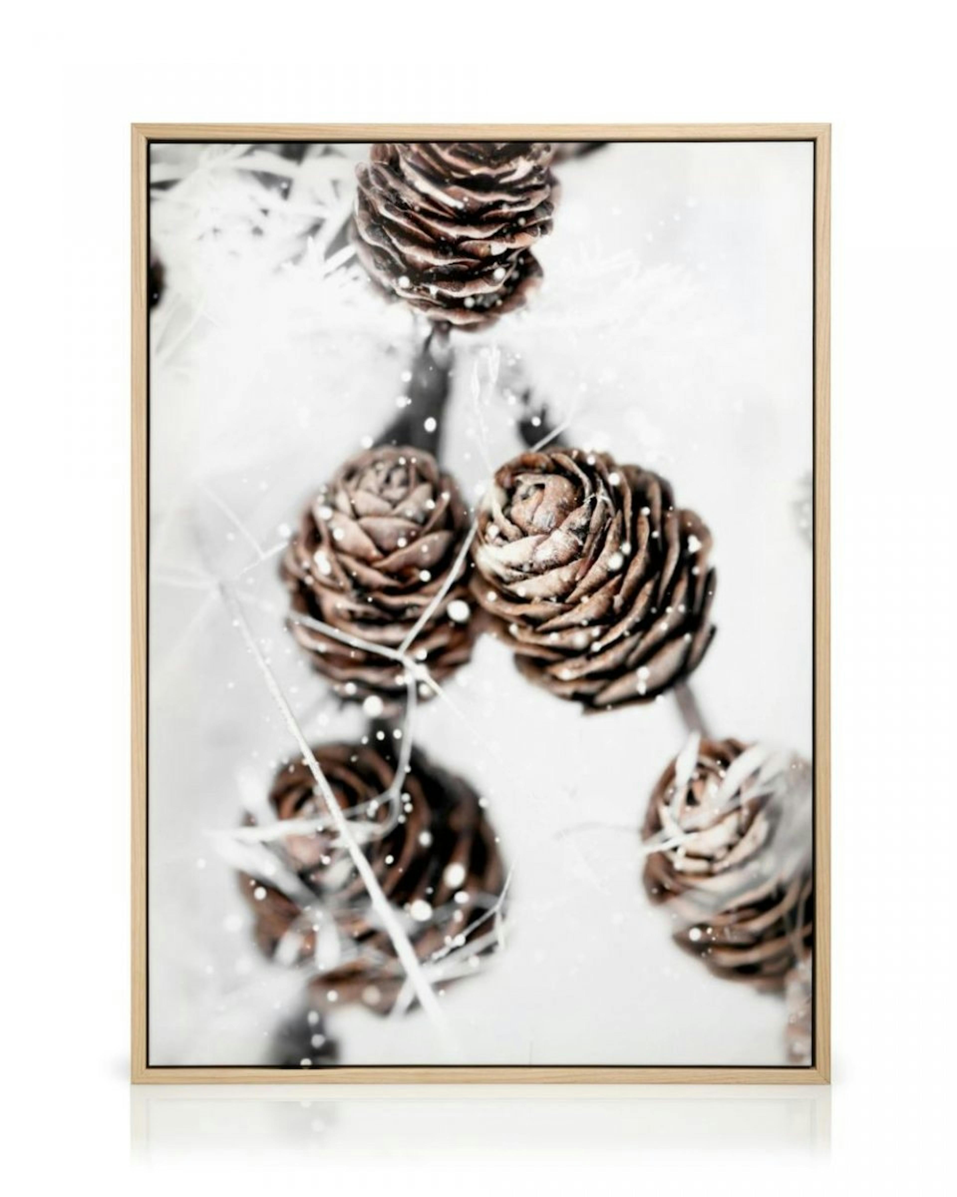 Winter Cones Stampa su Tela thumbnail