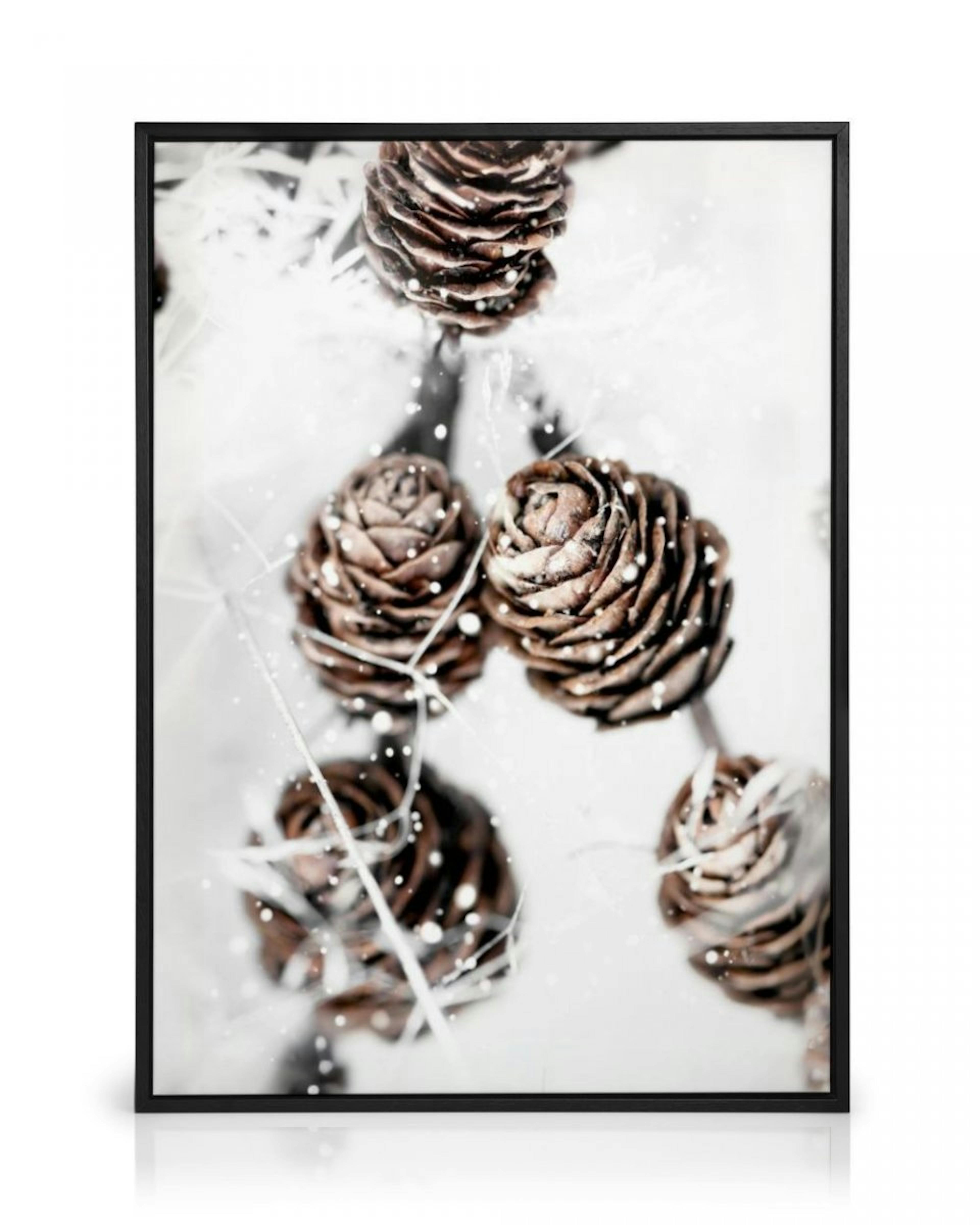 Winter Cones Stampa su Tela thumbnail