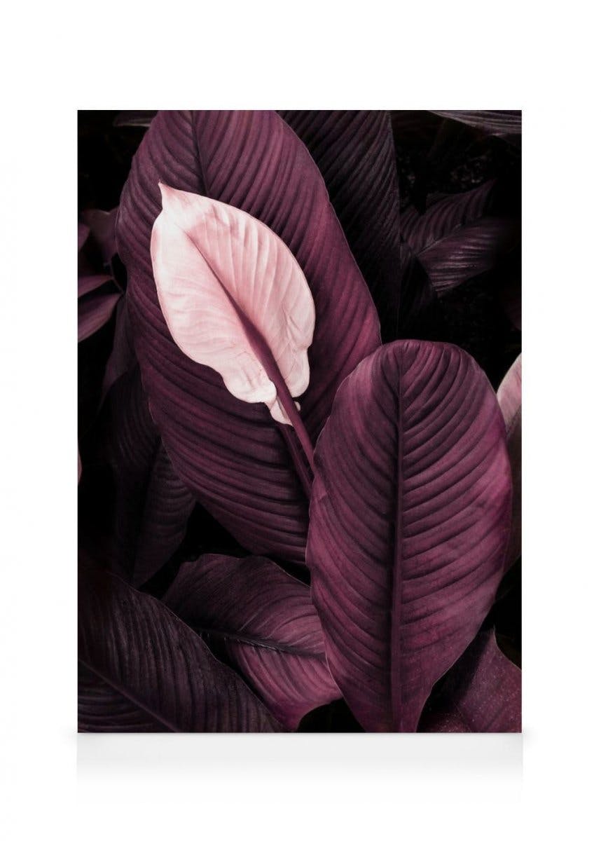 Canvastavlor - Lila blad nr1 canvastavla (70 x 100 cm - Ekram) - Poster Store