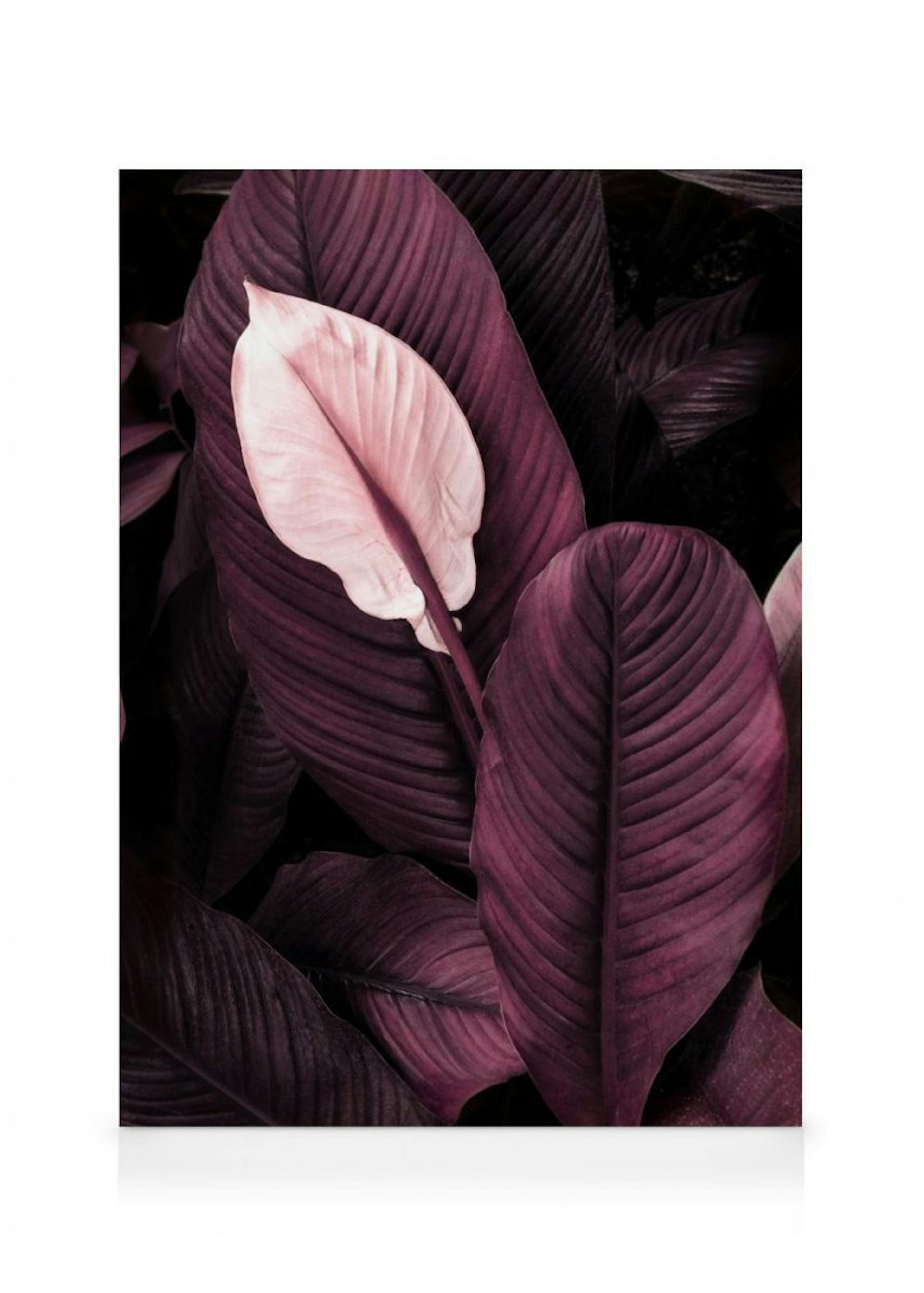 Purple Leaves No1 Canvas Print thumbnail