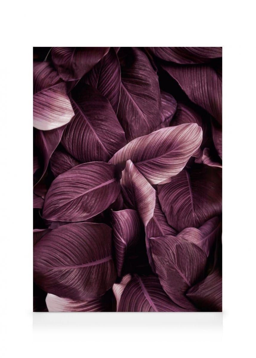 Canvastavlor - Lila blad No2 canvastavla (50 x 70 cm - Ekram) - Poster Store
