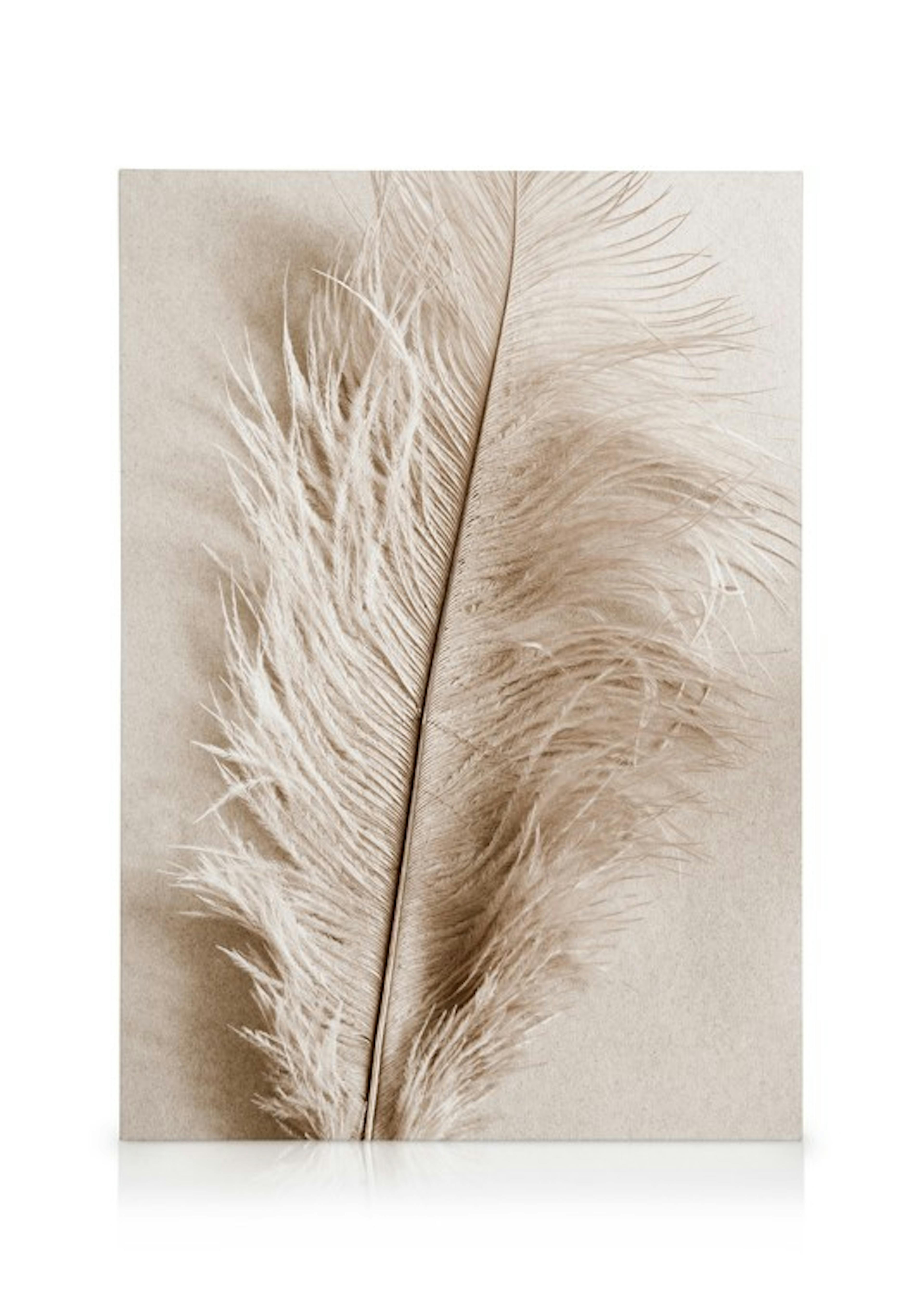 Soft Feather Canvas print thumbnail