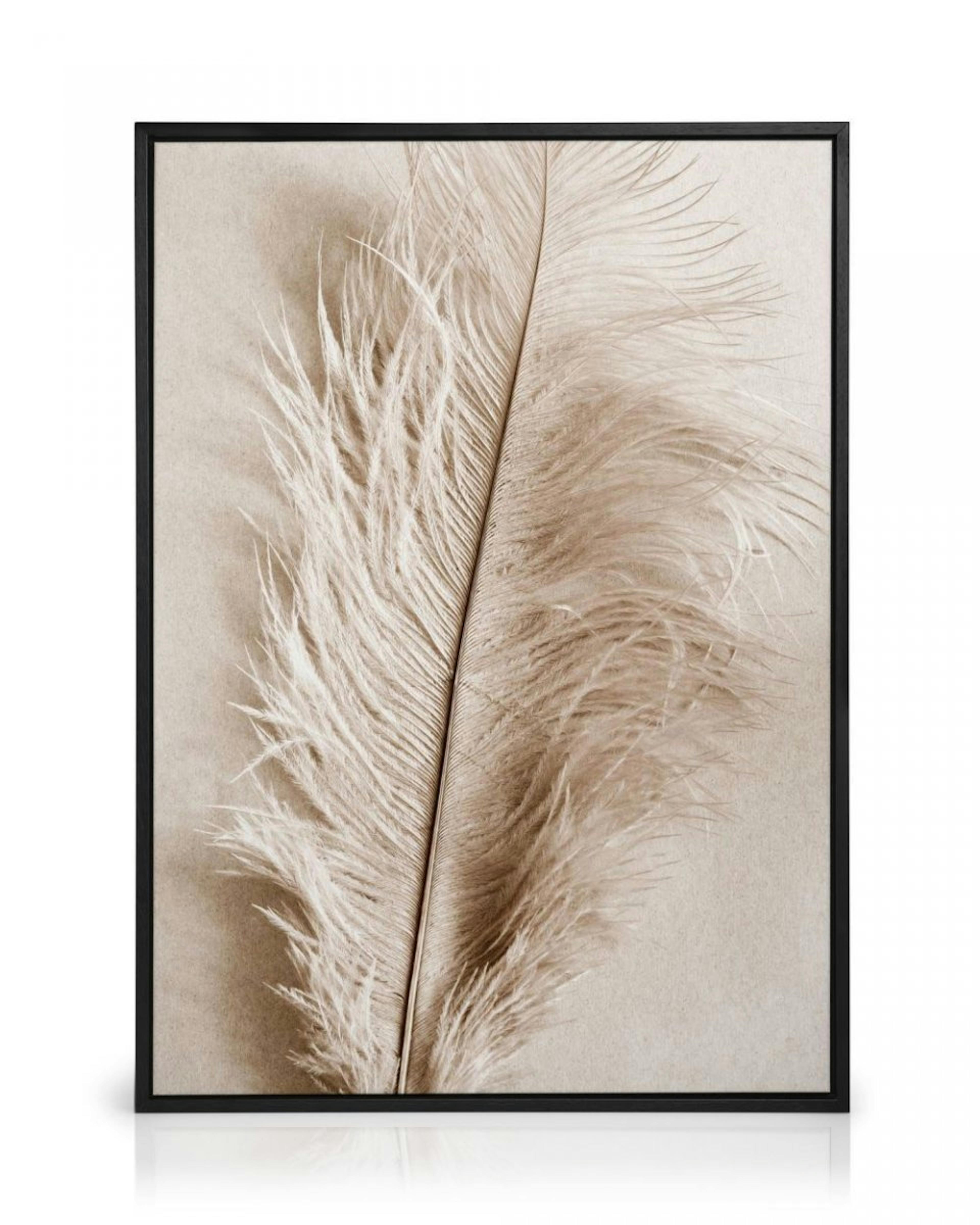Soft Feather Canvas print thumbnail