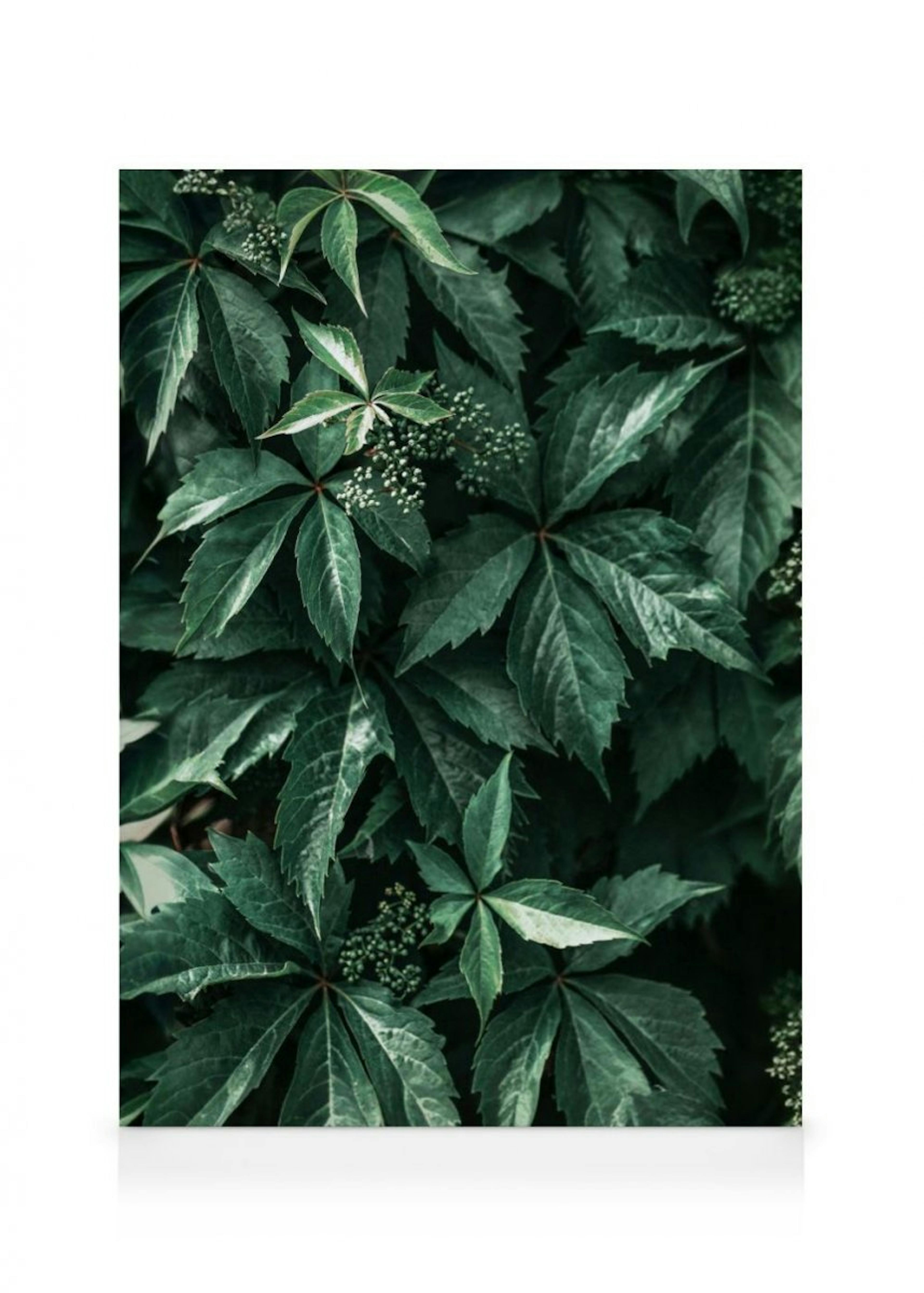 Wild Grape Leaves Canvas Print thumbnail