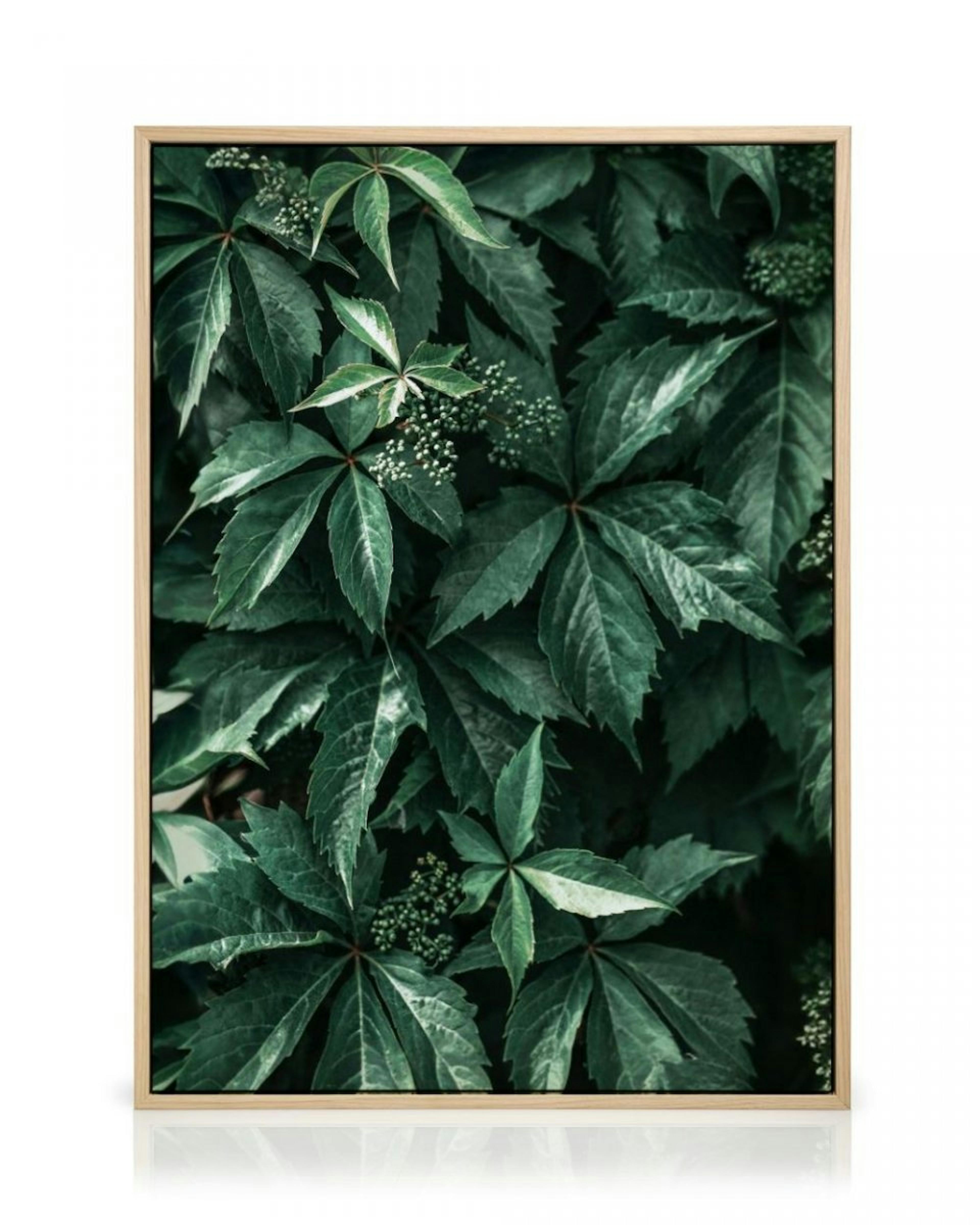 Wild Grape Leaves Canvas thumbnail