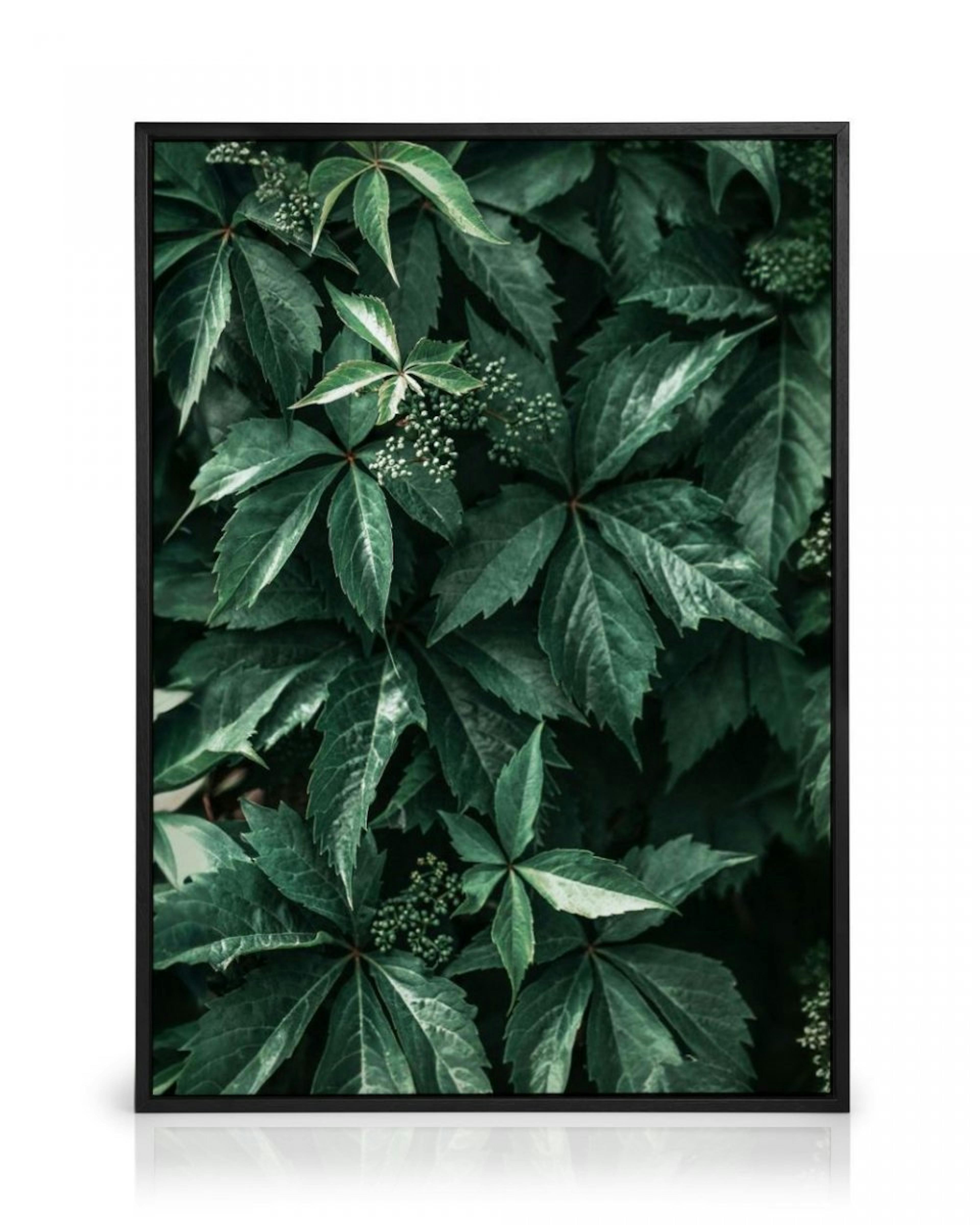 Wild Grape Leaves Canvas print thumbnail