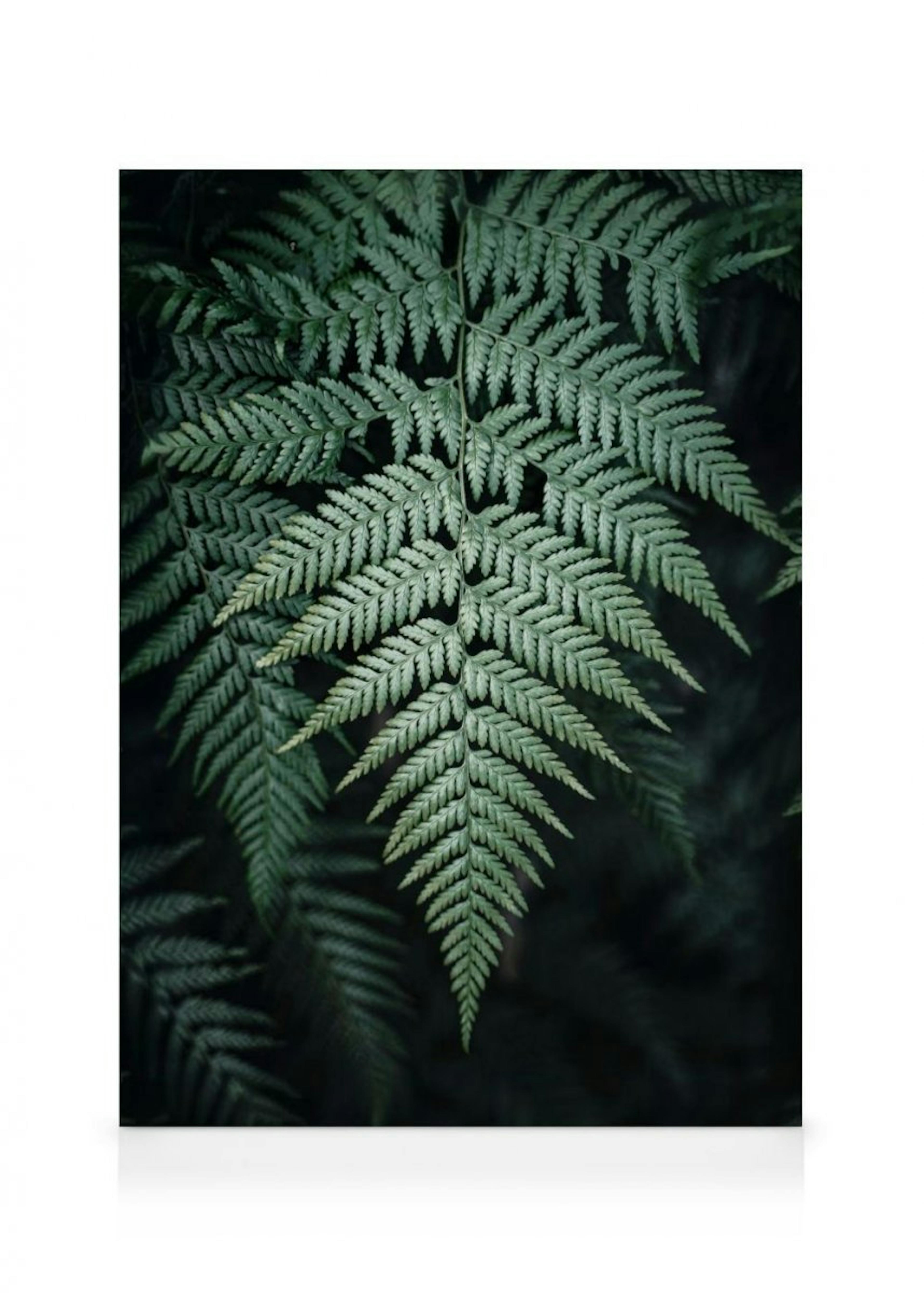 Wild Fern Leinwandbild thumbnail