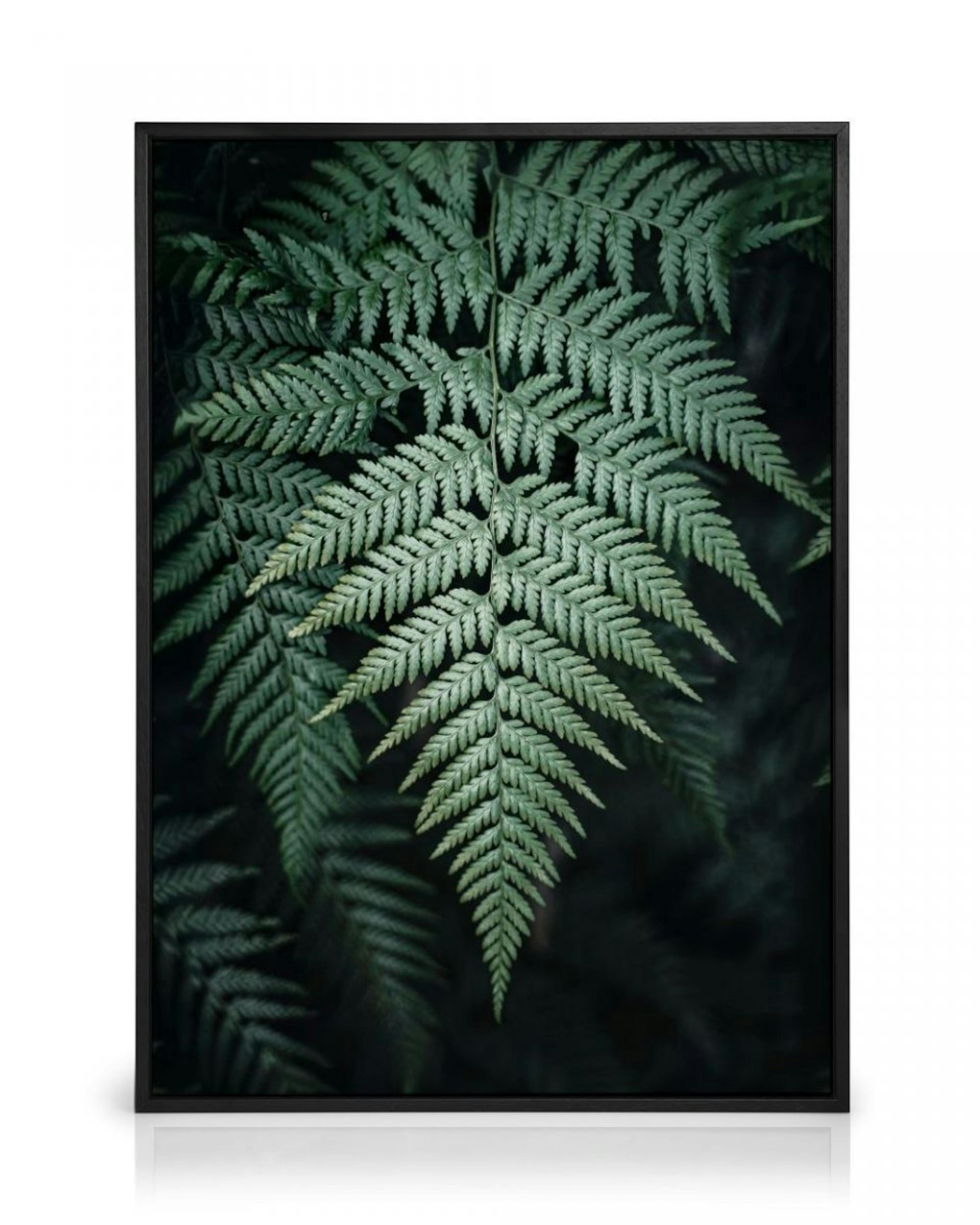 Wild Fern Leinwandbild thumbnail