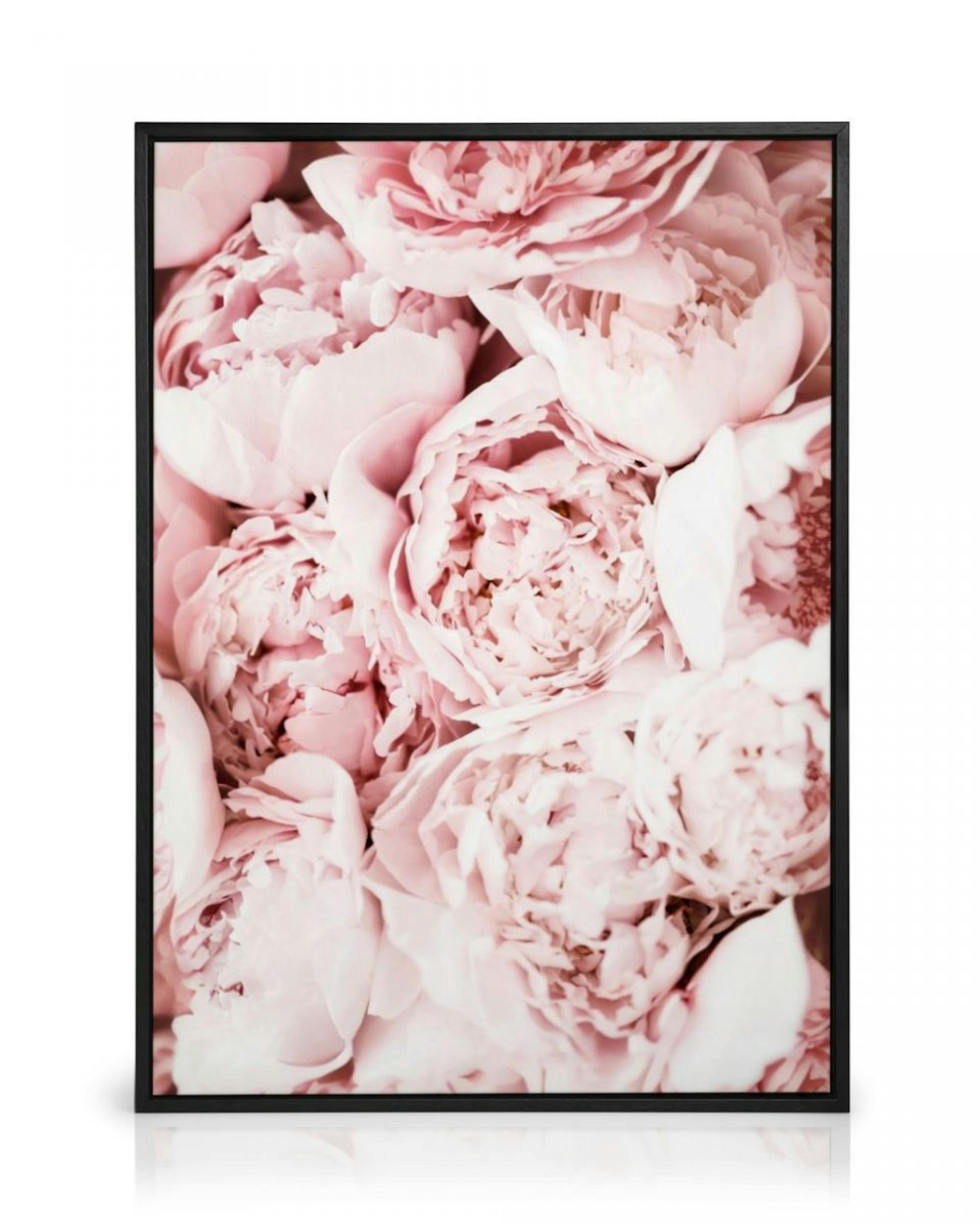 Toile de pivoines rose clair thumbnail