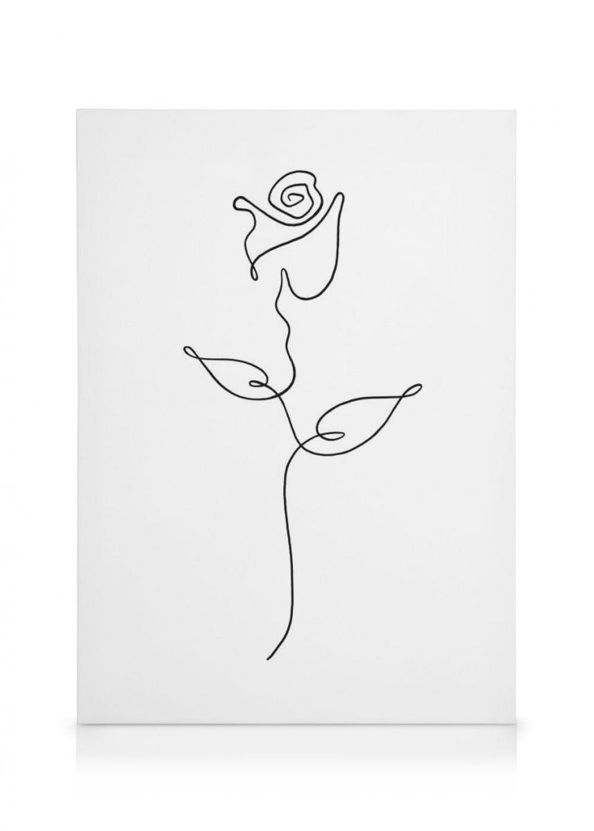 Różana Linia Obraz na płótnie (50x70 cm - Czarna ramka) - Poster Store