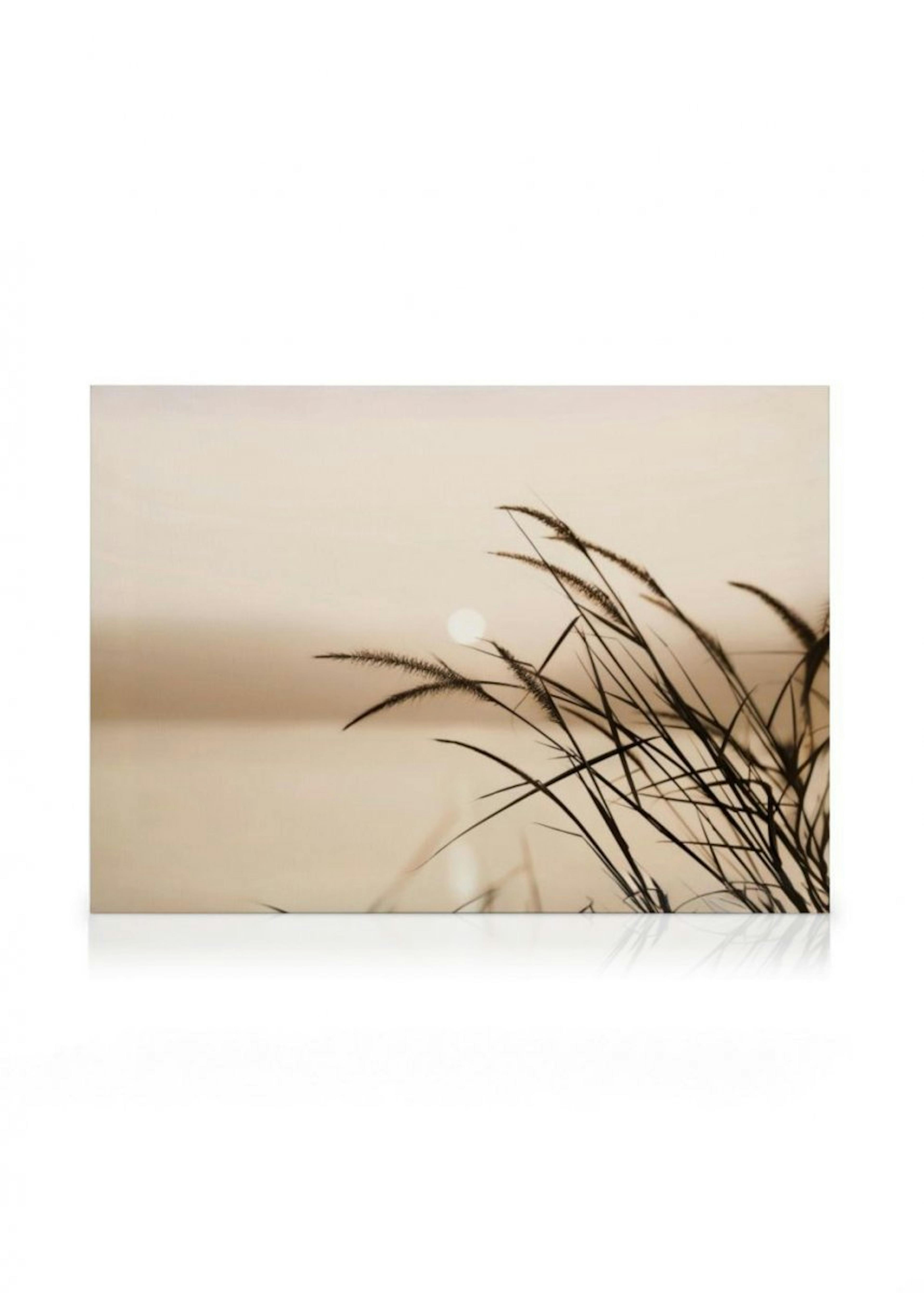 Reed Silhouette Canvas Print thumbnail