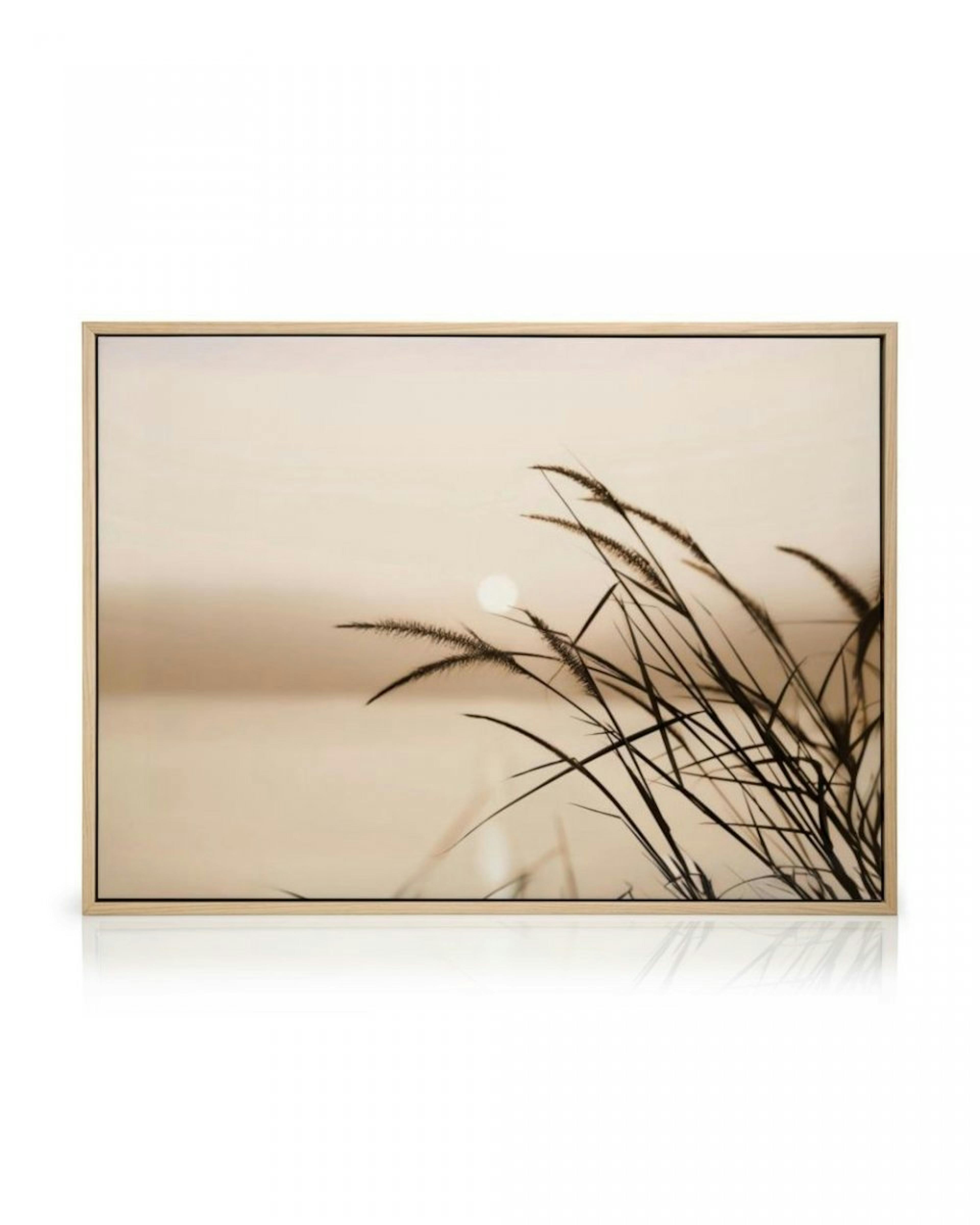 Reed Silhouette Canvas print thumbnail