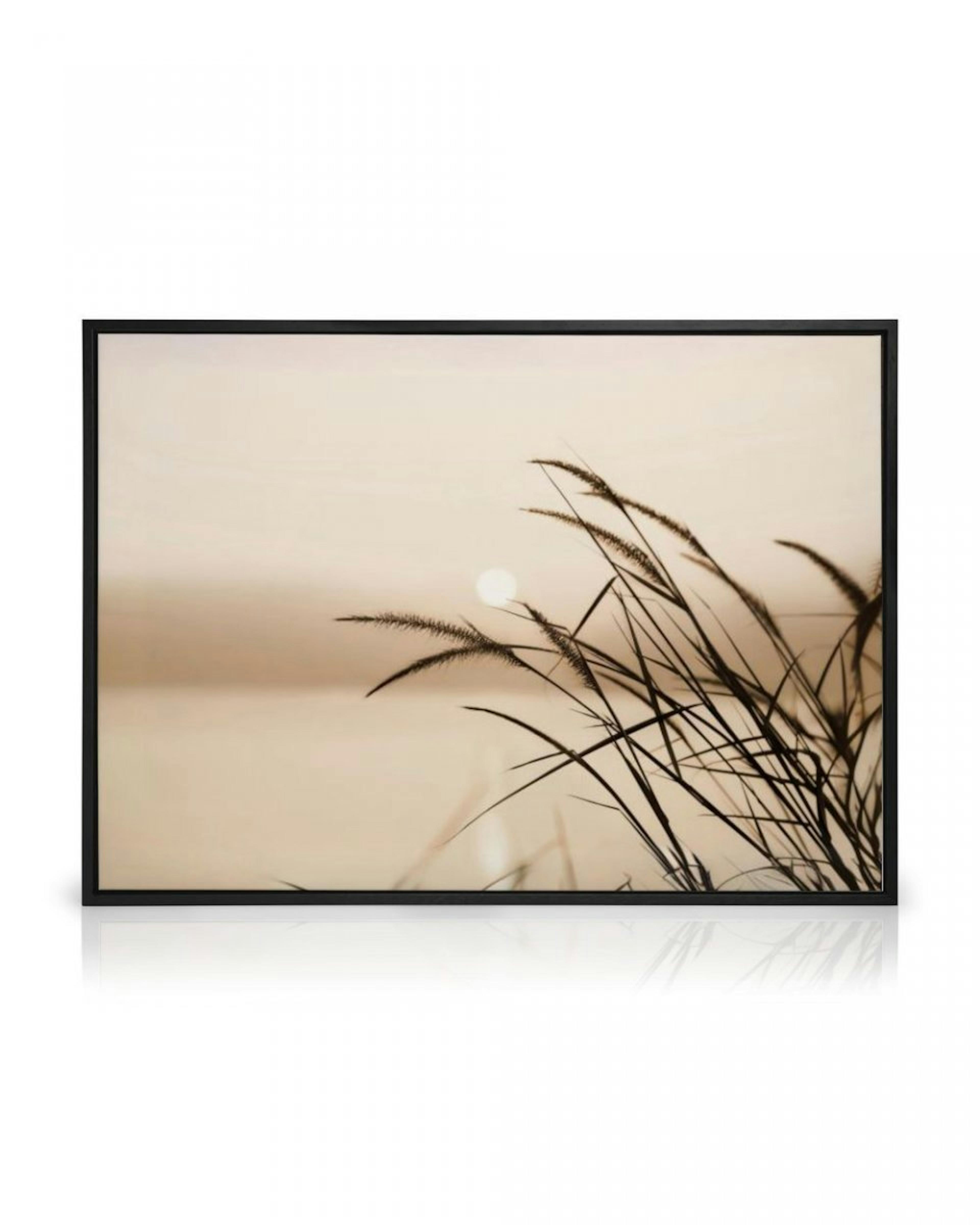 Reed Silhouette Canvas Print thumbnail