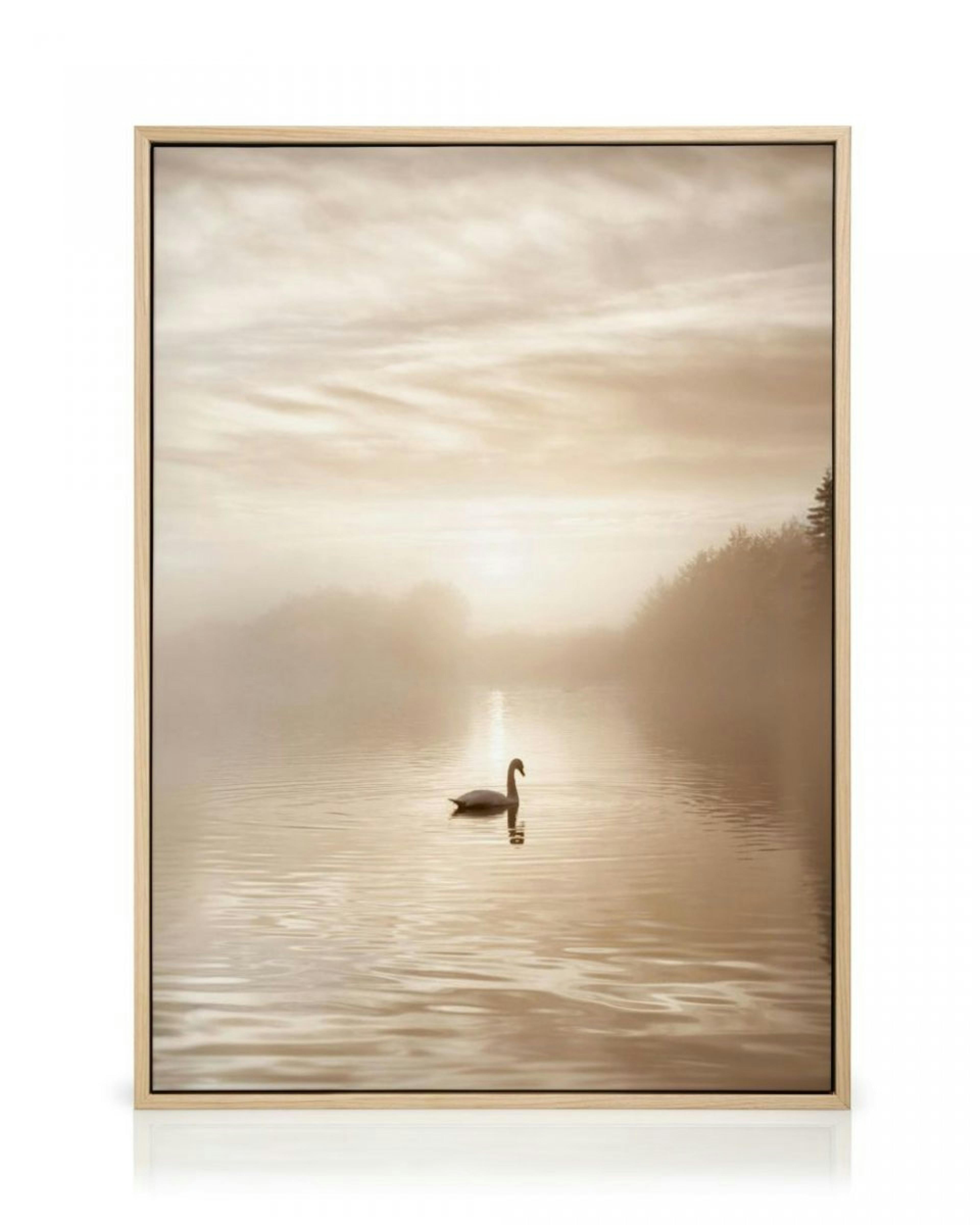 Swan Lake Canvas Print thumbnail