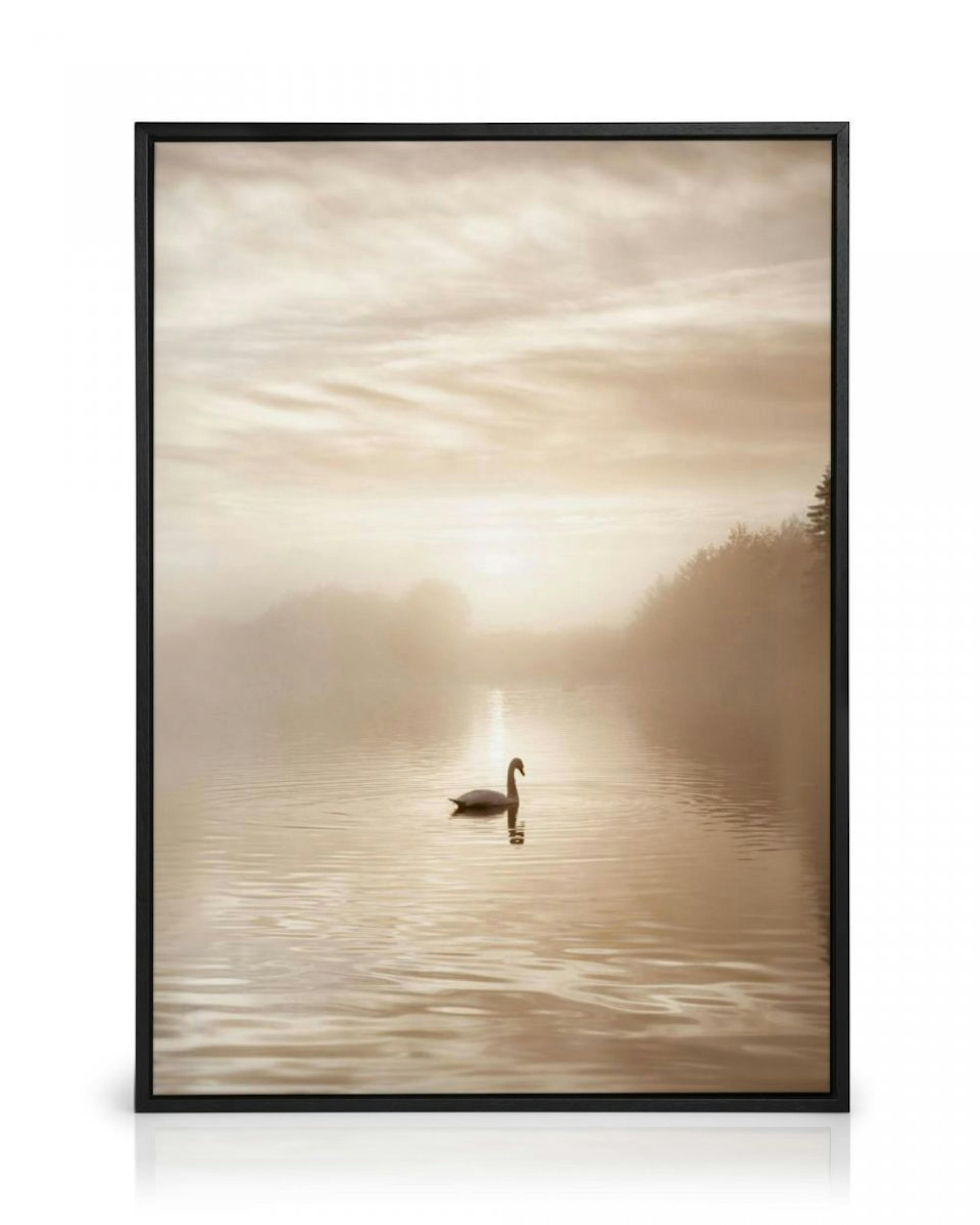 Swan Lake Canvas Print thumbnail