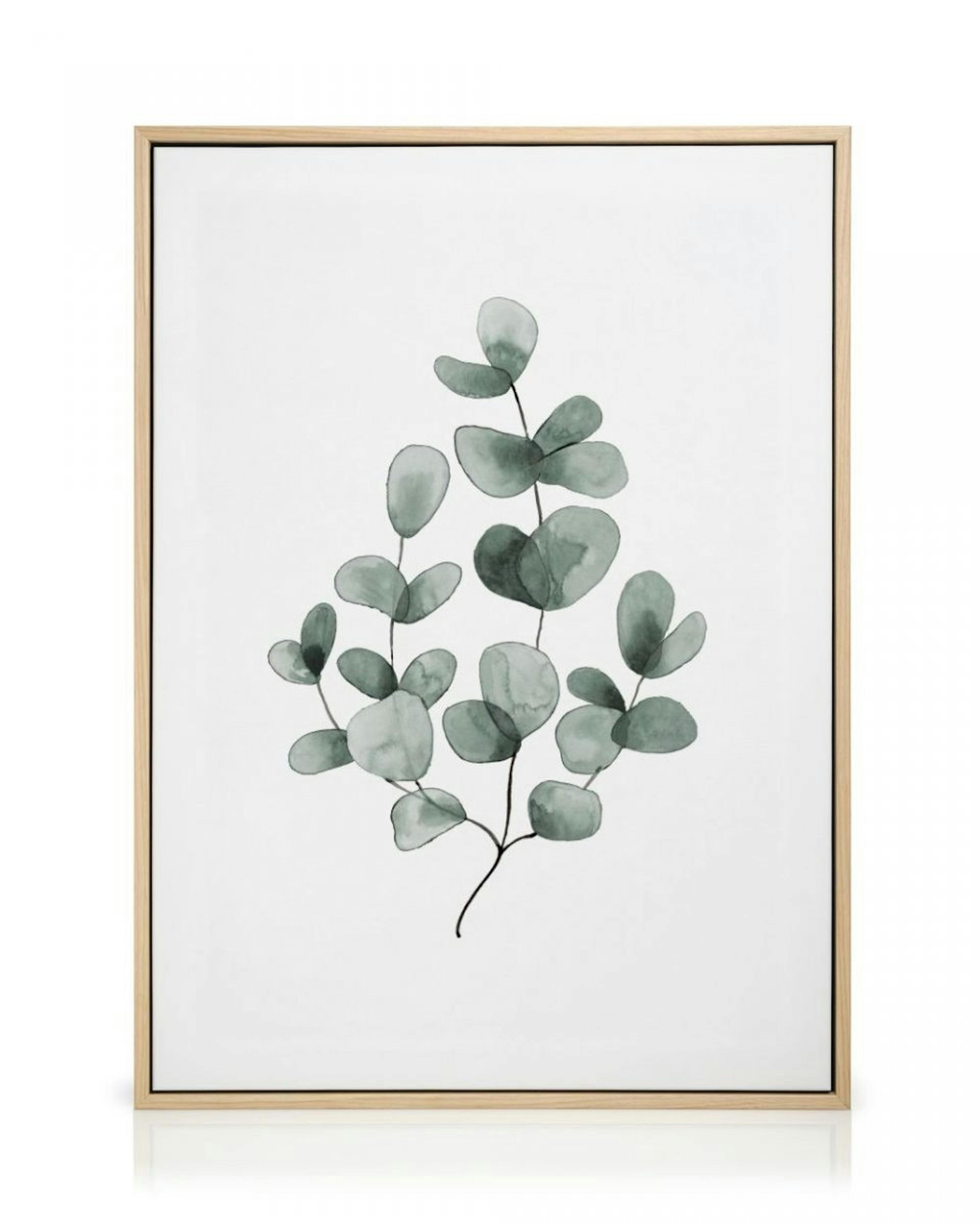 Eucalyptus No1 Canvas thumbnail