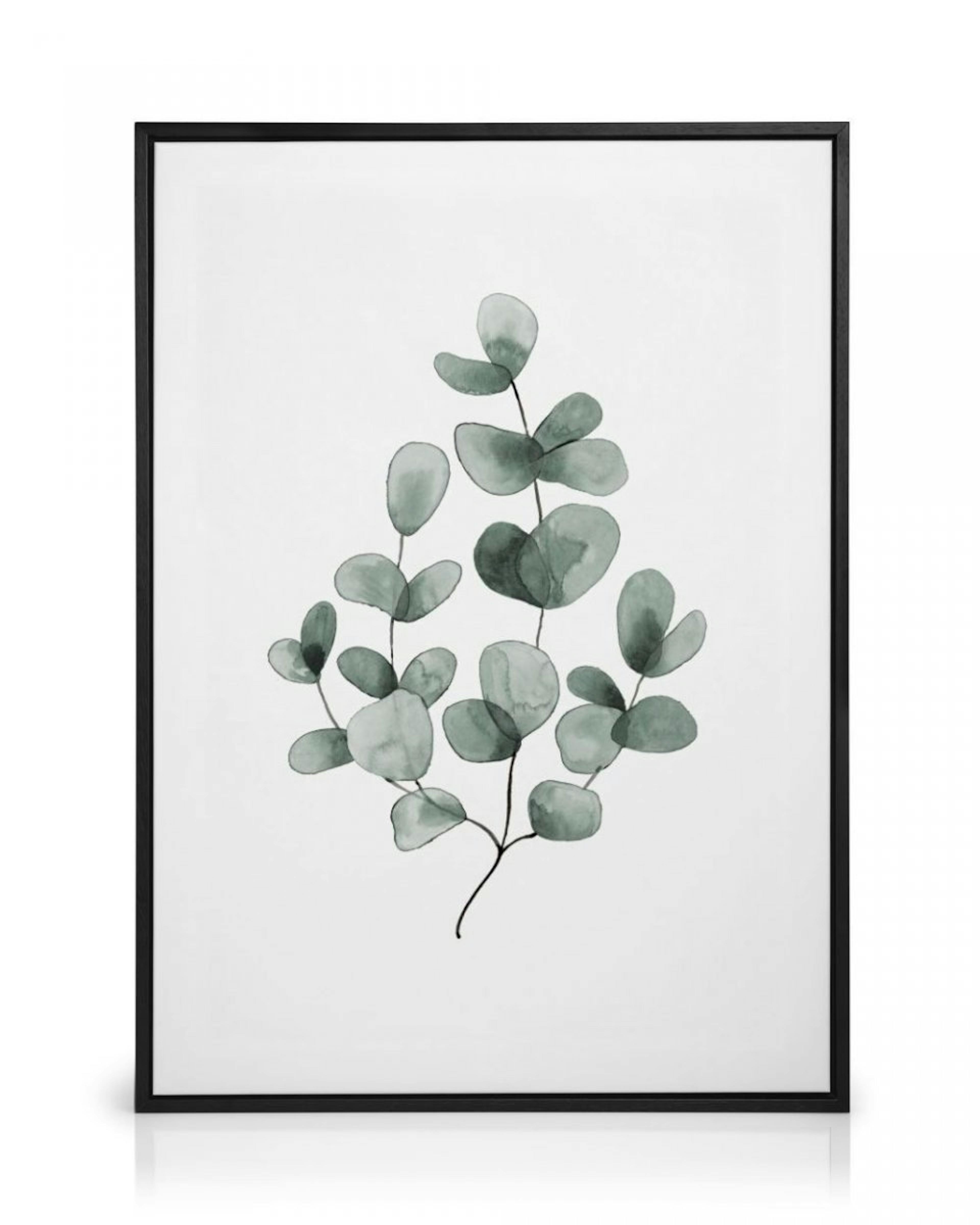 Eucalyptus No1 Canvas thumbnail