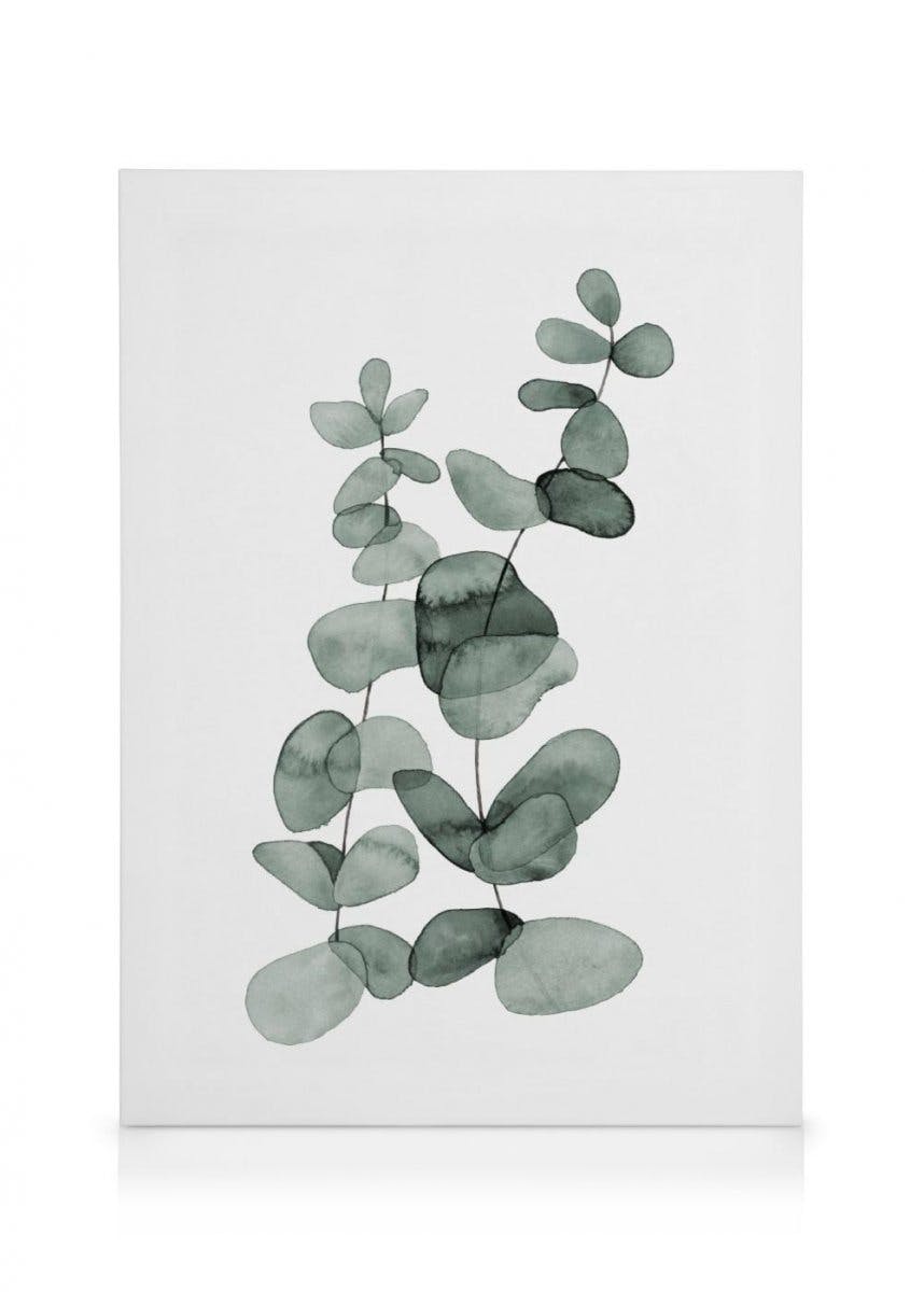 Eukaliptus No2 Obraz na płótnie (70x100 cm - Czarna ramka) - Poster Store