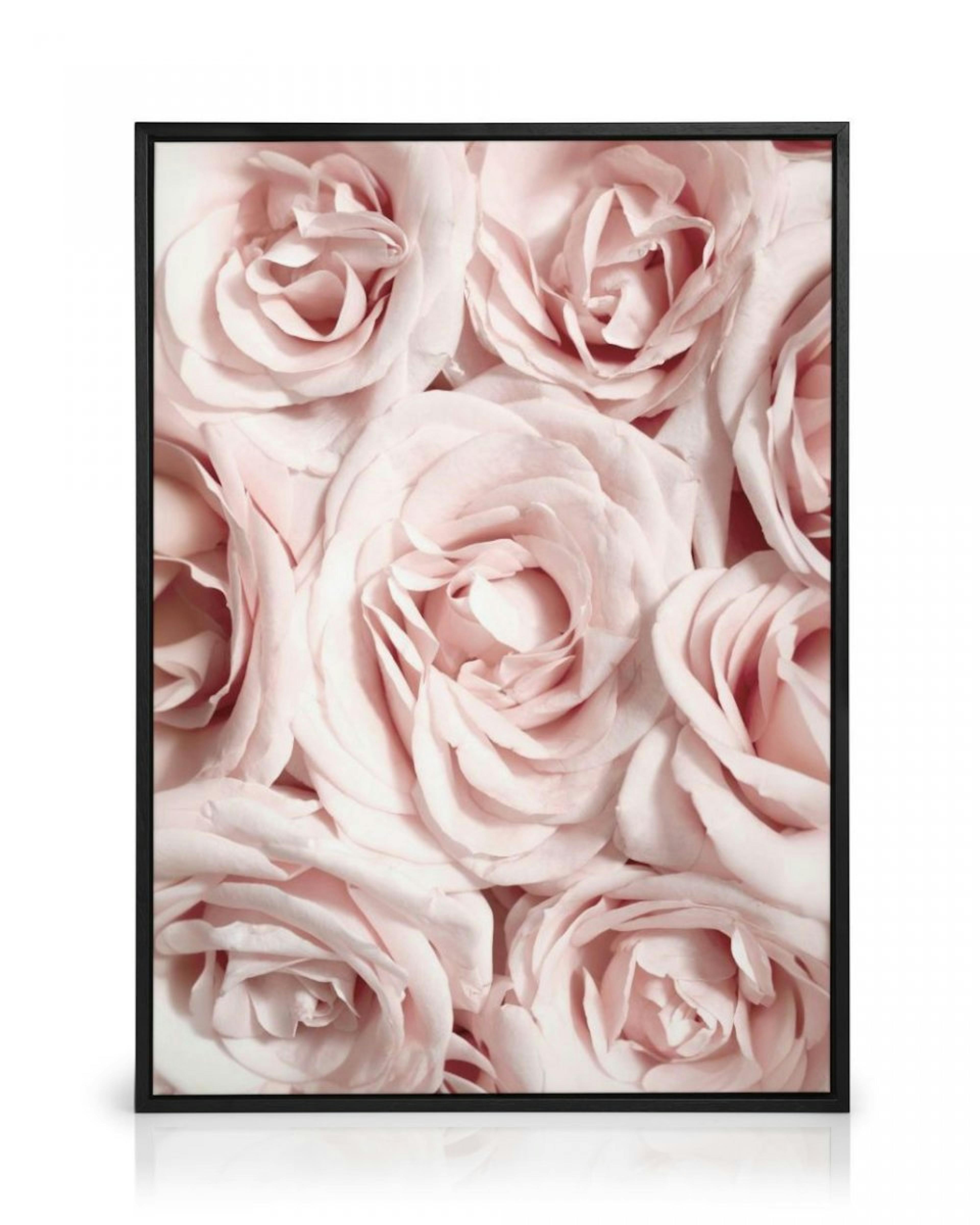 Wall of Roses Canvas Print thumbnail