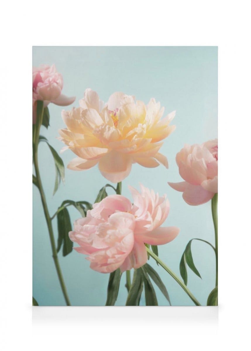 Flores Pastel Lienzo (30x40 cm - Marco de negro) - Poster Store
