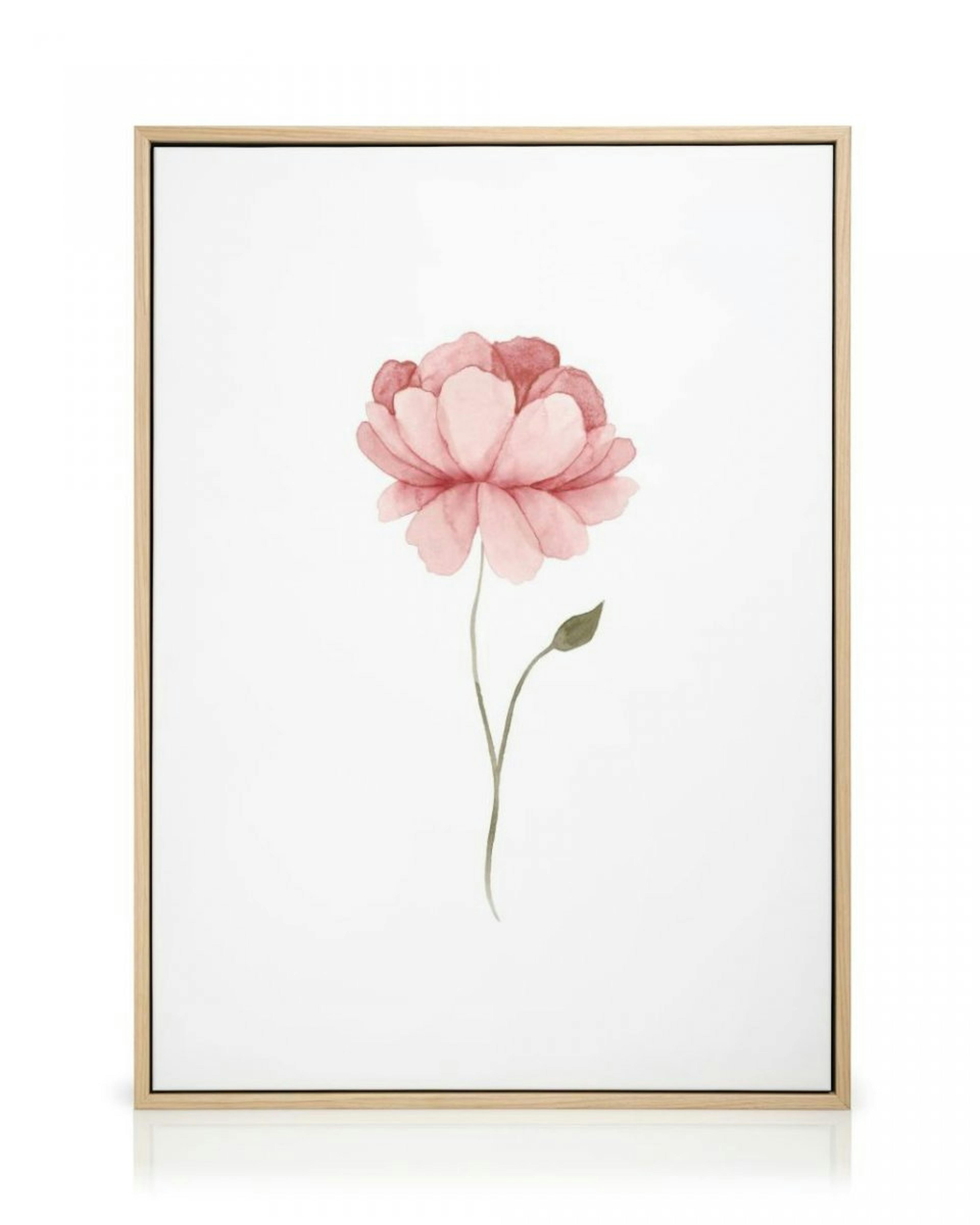 Watercolor Peony Canvas thumbnail