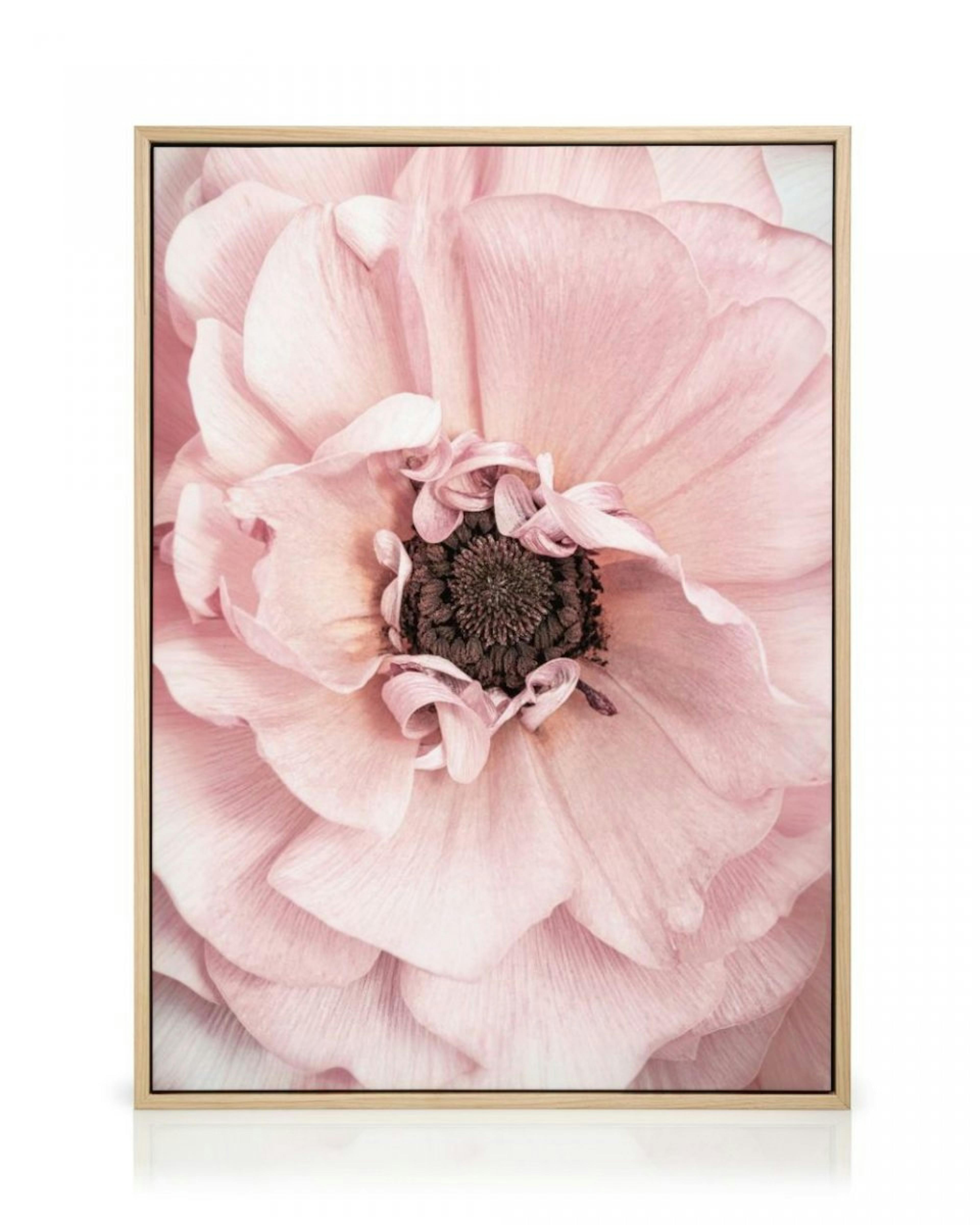 Pink Bloom Canvas Print thumbnail