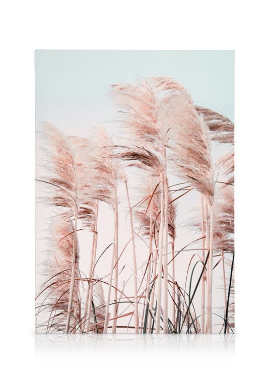Hierba de Playa Rosa Lienzo (50x70 cm - Marco de negro) - Poster Store