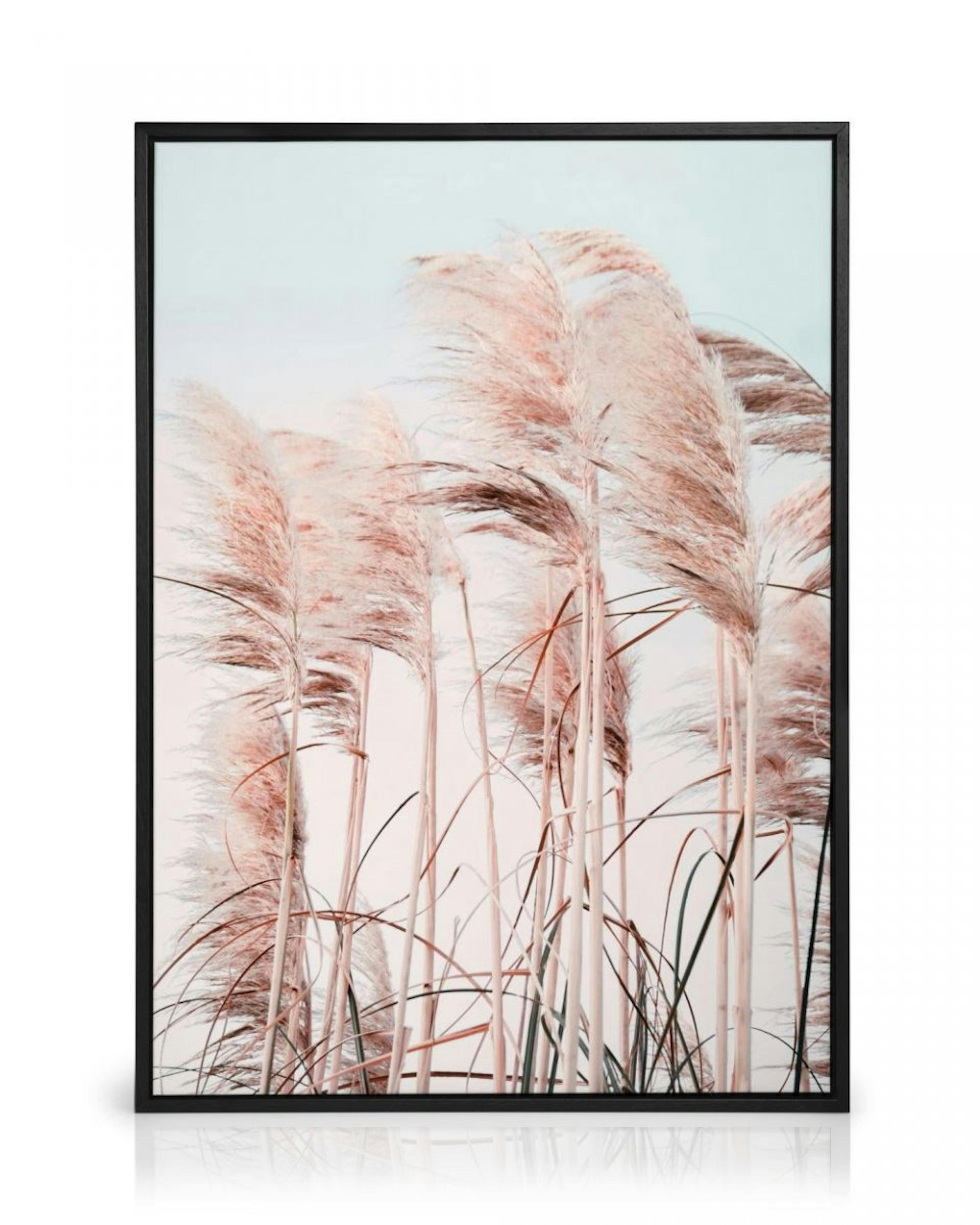 Pink Beach Grass Stampa su tela thumbnail