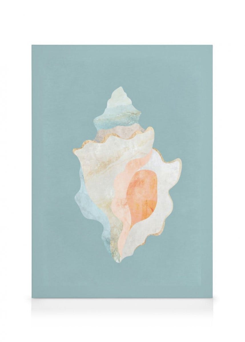 Canvastavlor - Grafisk snäckskalscanvas (50x70 cm) - Poster Store