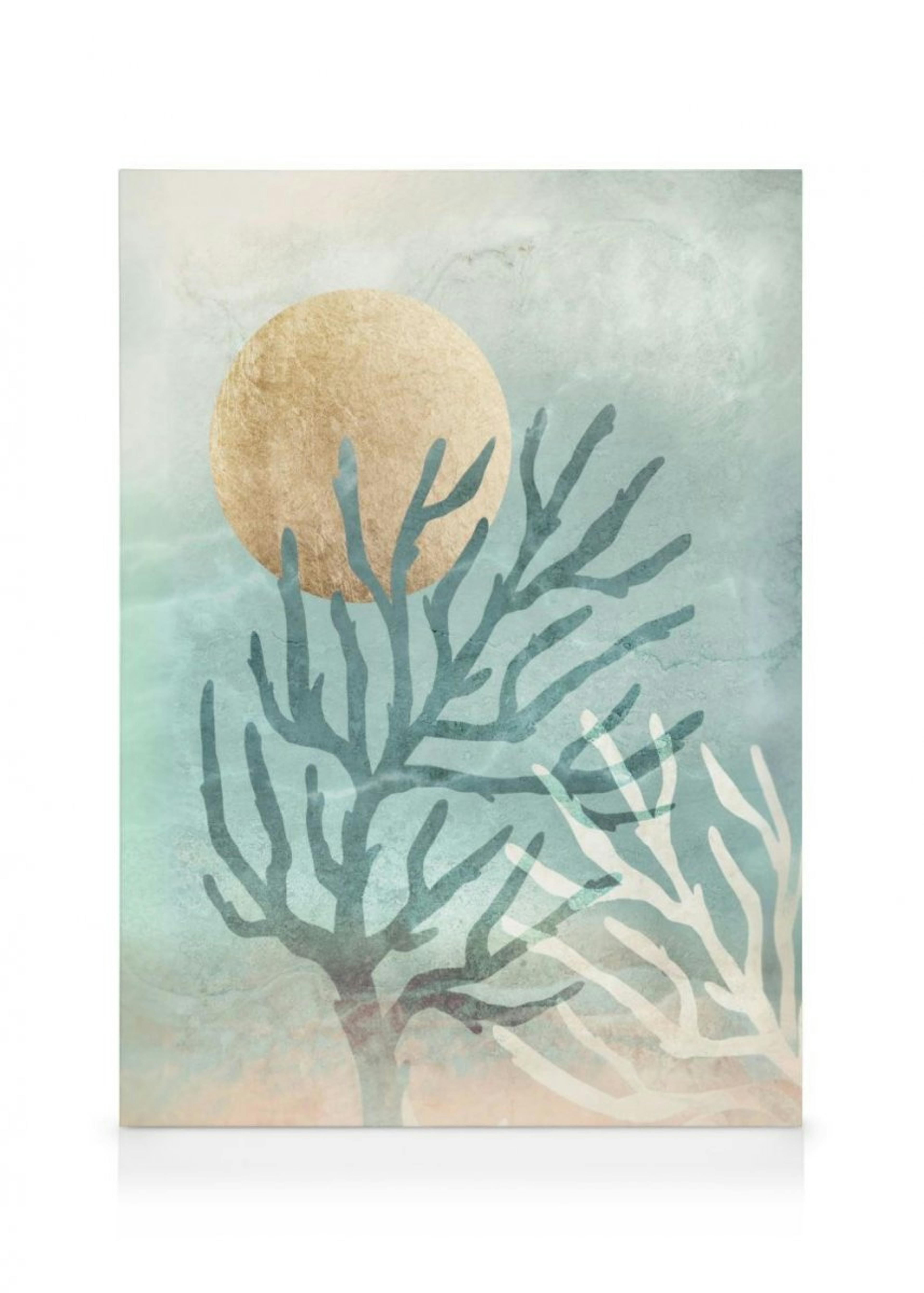 Coral Dreams Canvas Print thumbnail