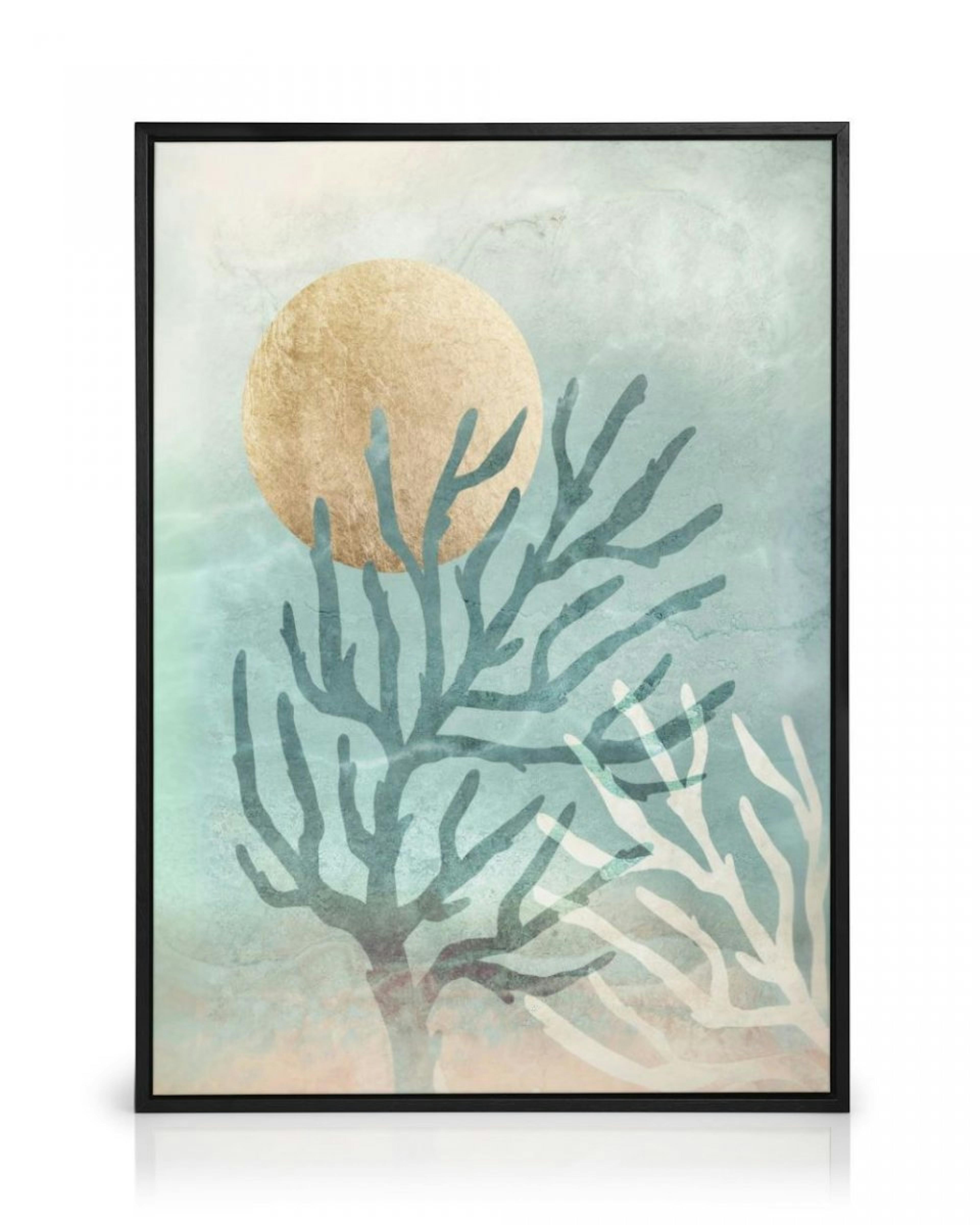 Coral Dreams Canvas thumbnail