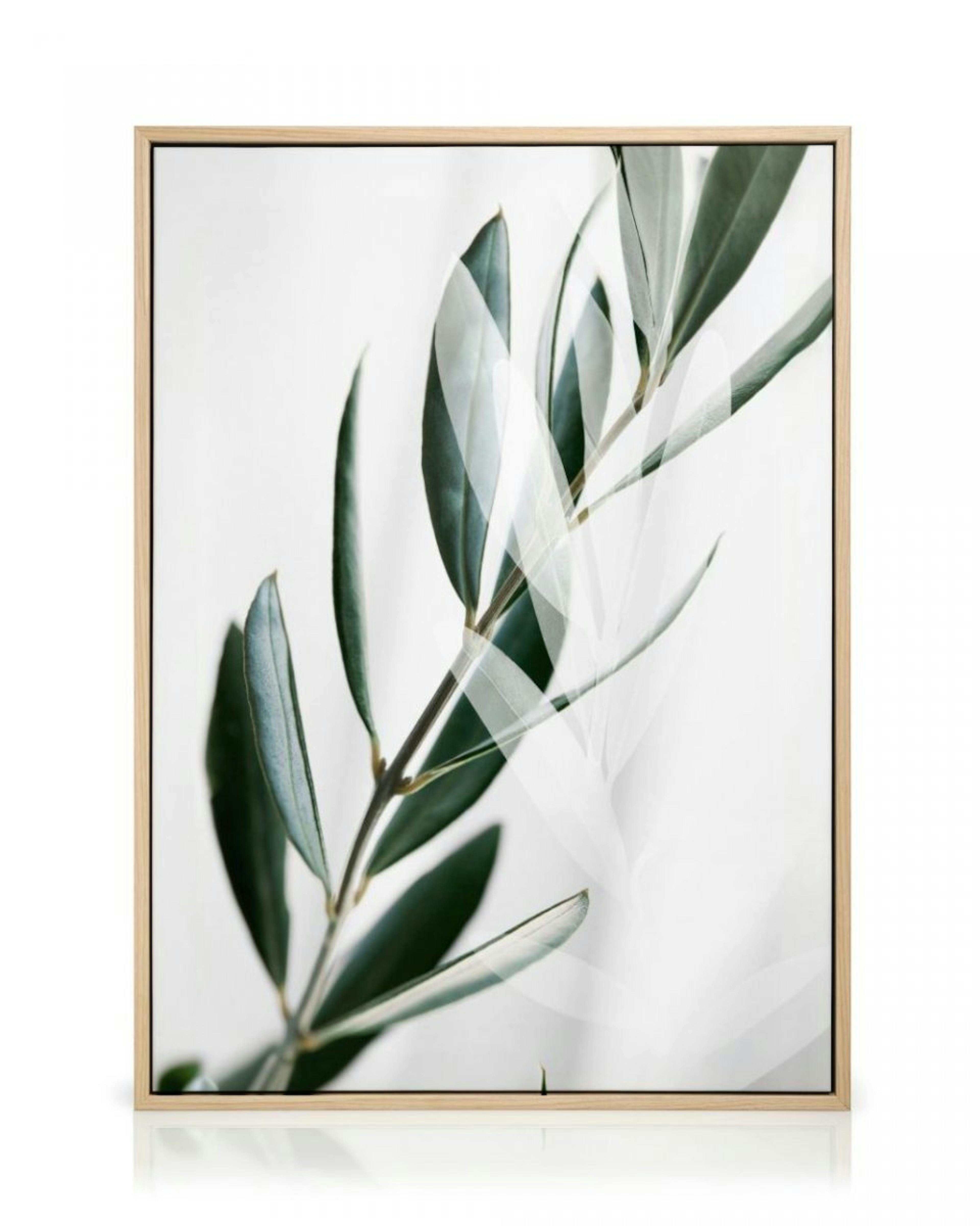 Olive Branch Shades Canvas Print thumbnail