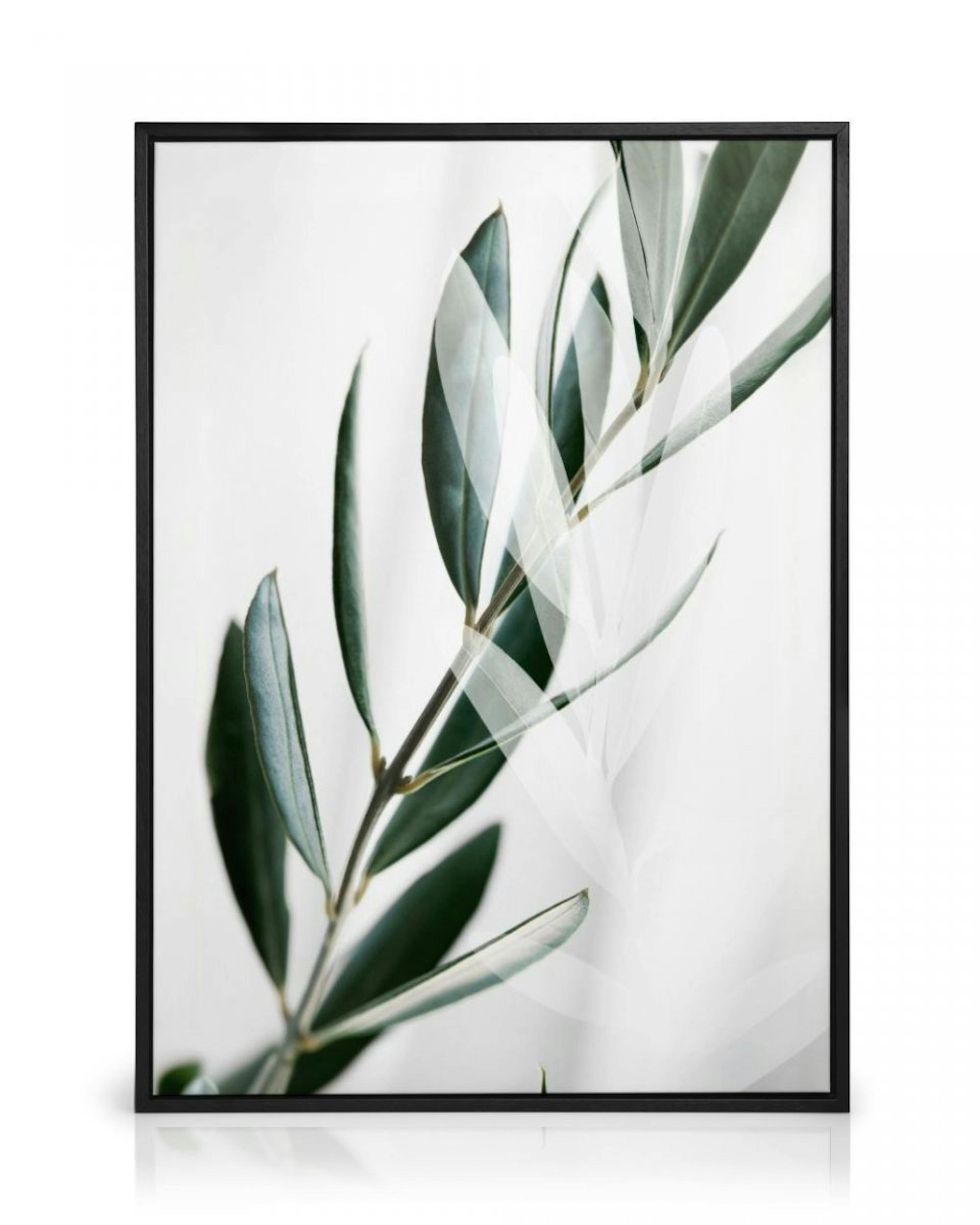 Olive Branch Shades Canvas print thumbnail