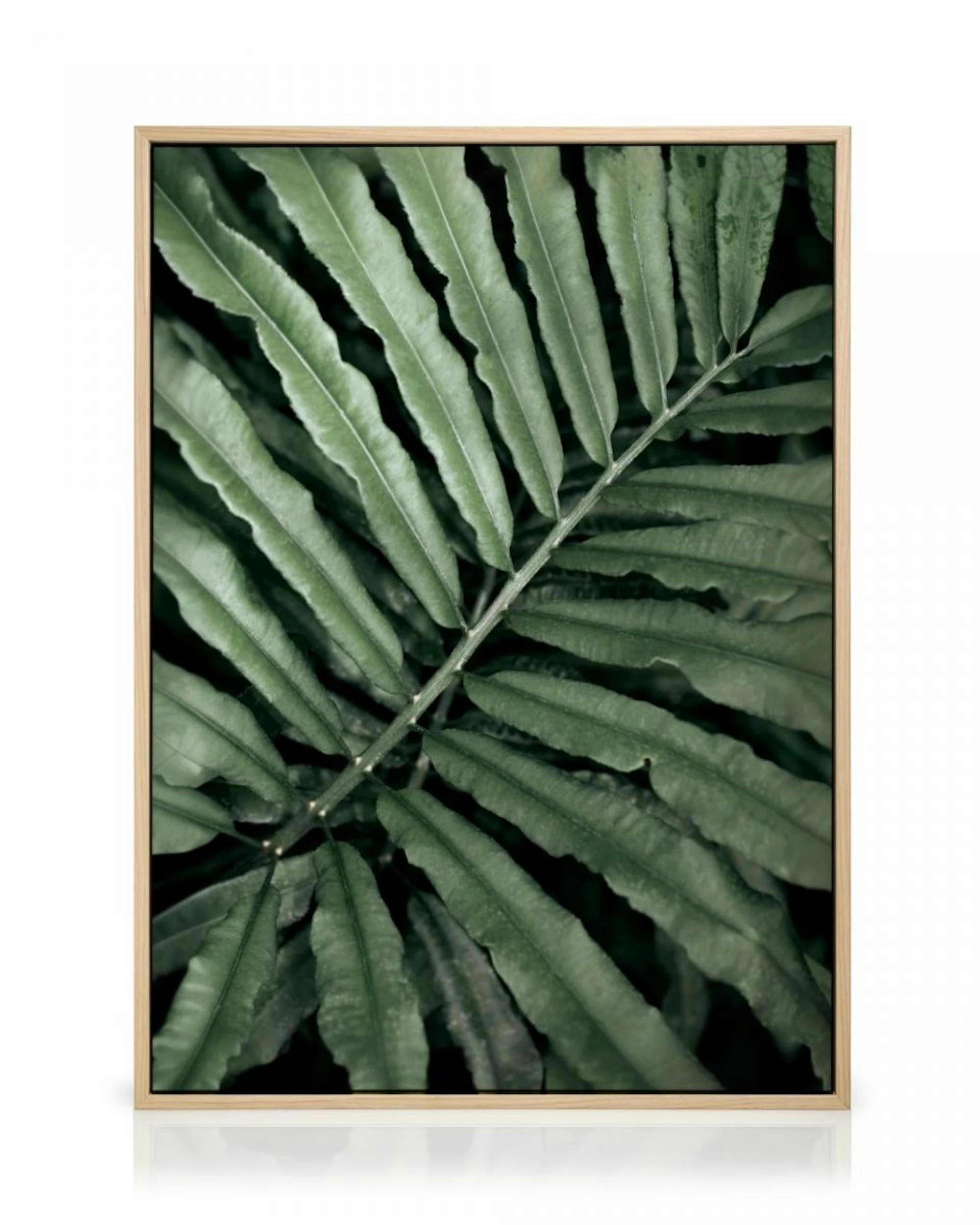 Green Fern Canvas Print thumbnail