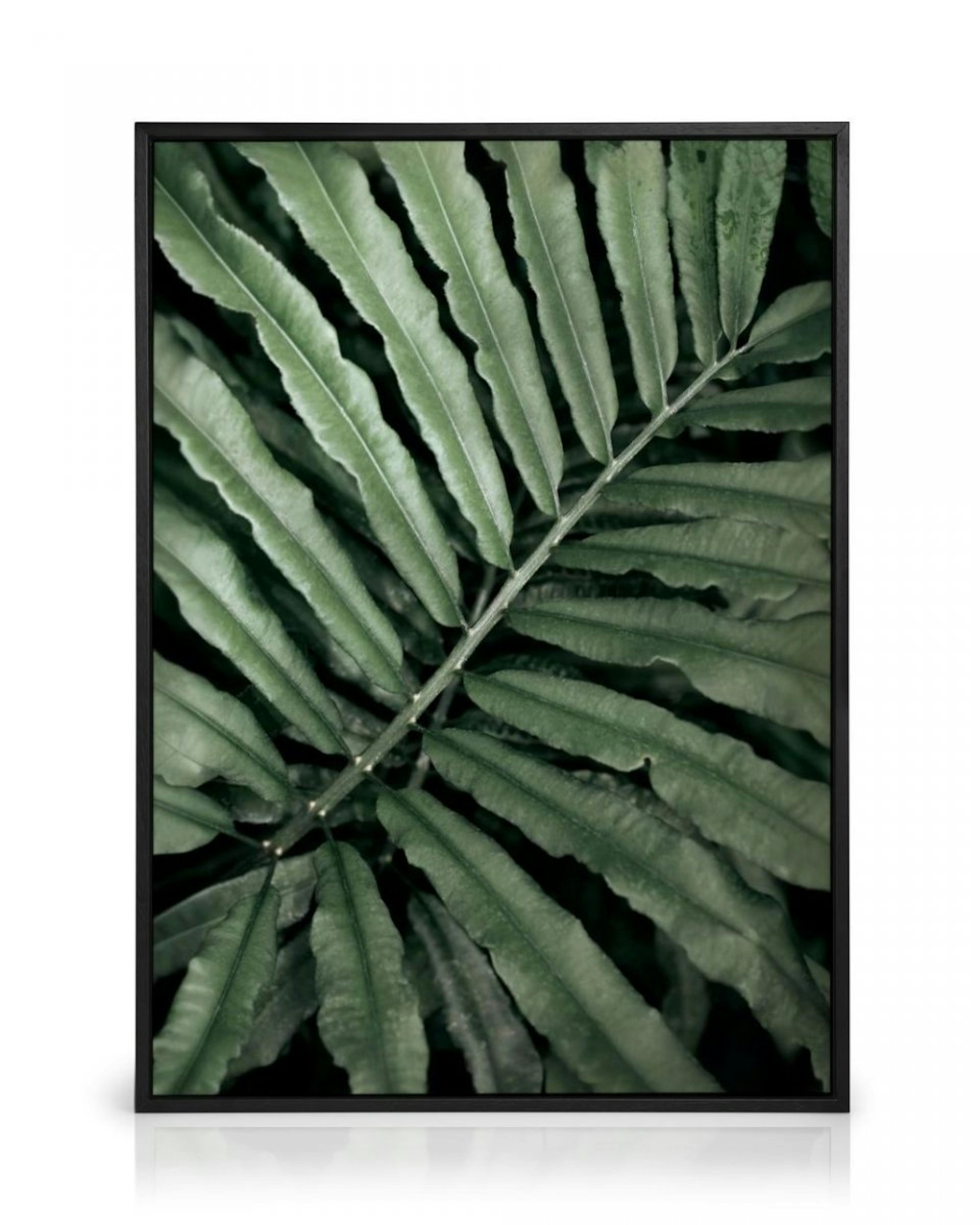 Green Fern Canvas thumbnail