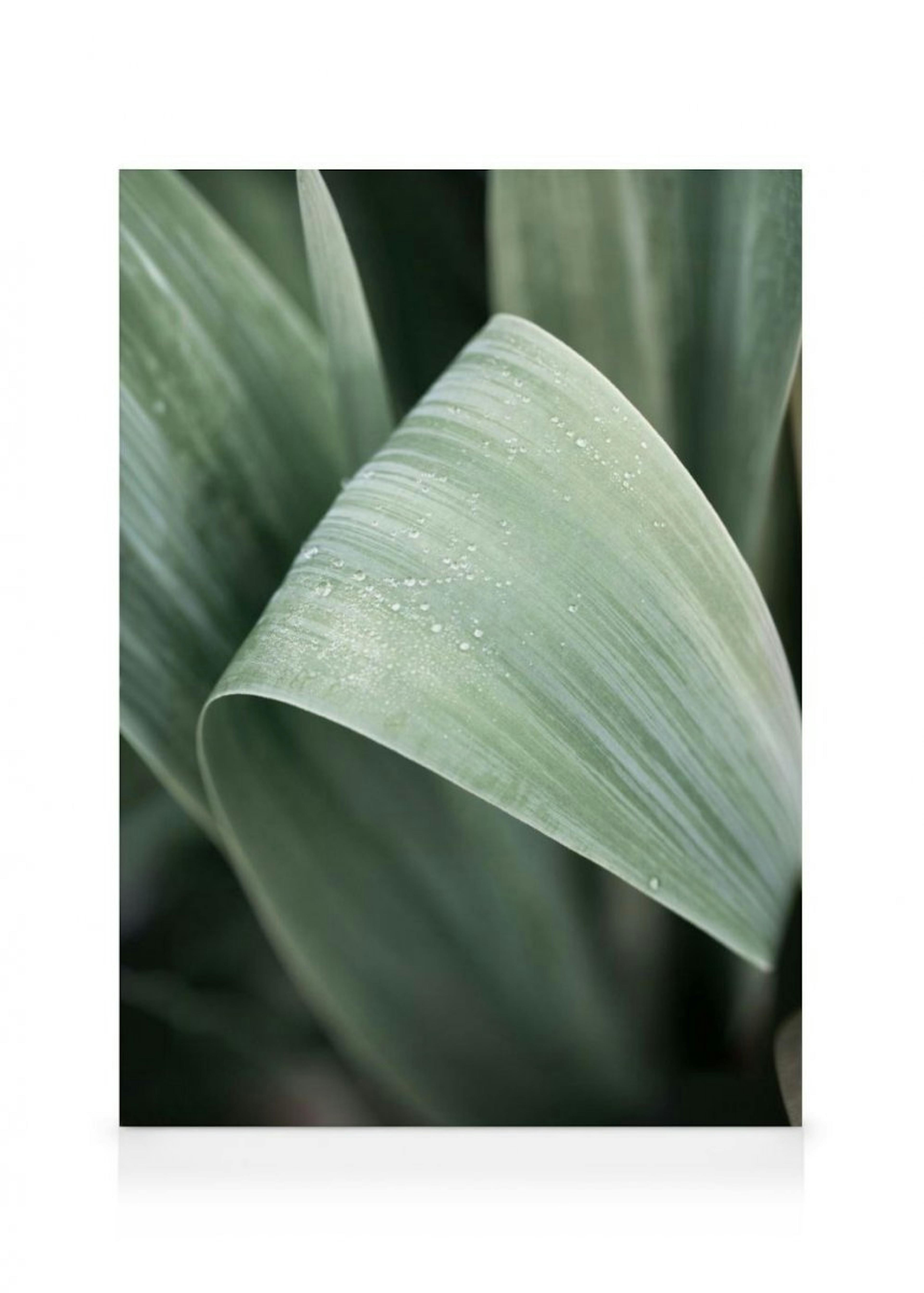 Green Leaf Canvas print thumbnail