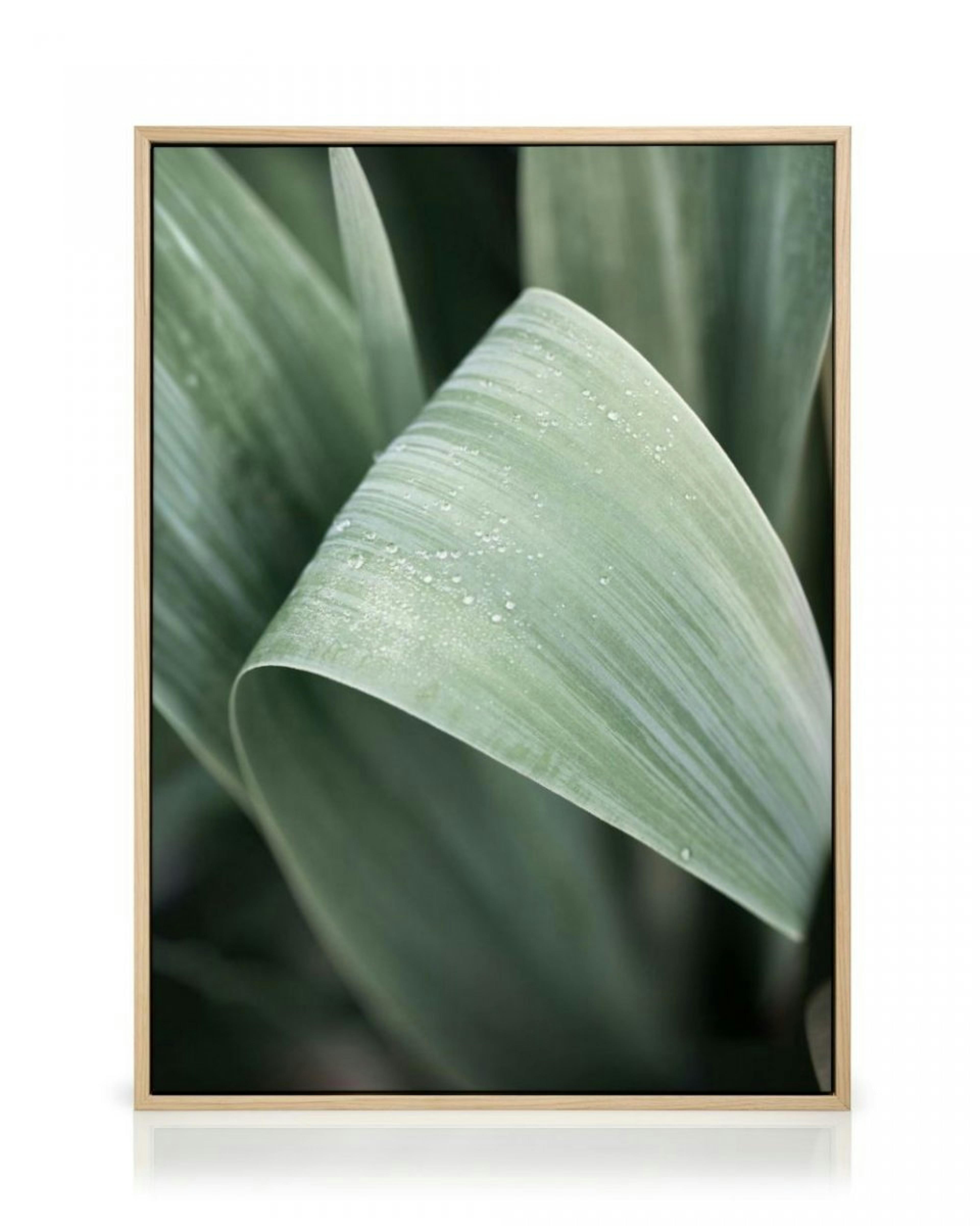 Green Leaf Canvas print thumbnail