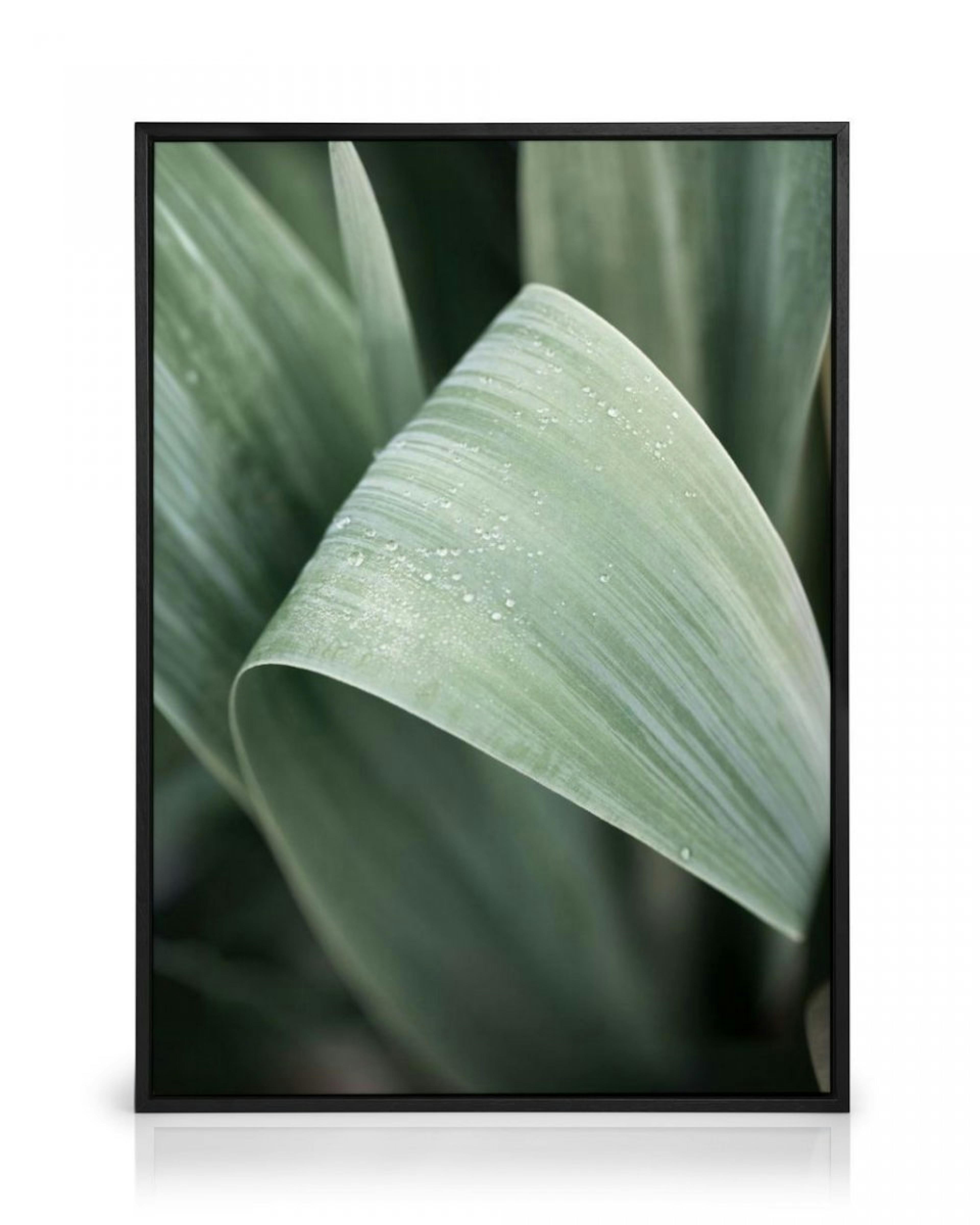 Green Leaf Canvas print thumbnail